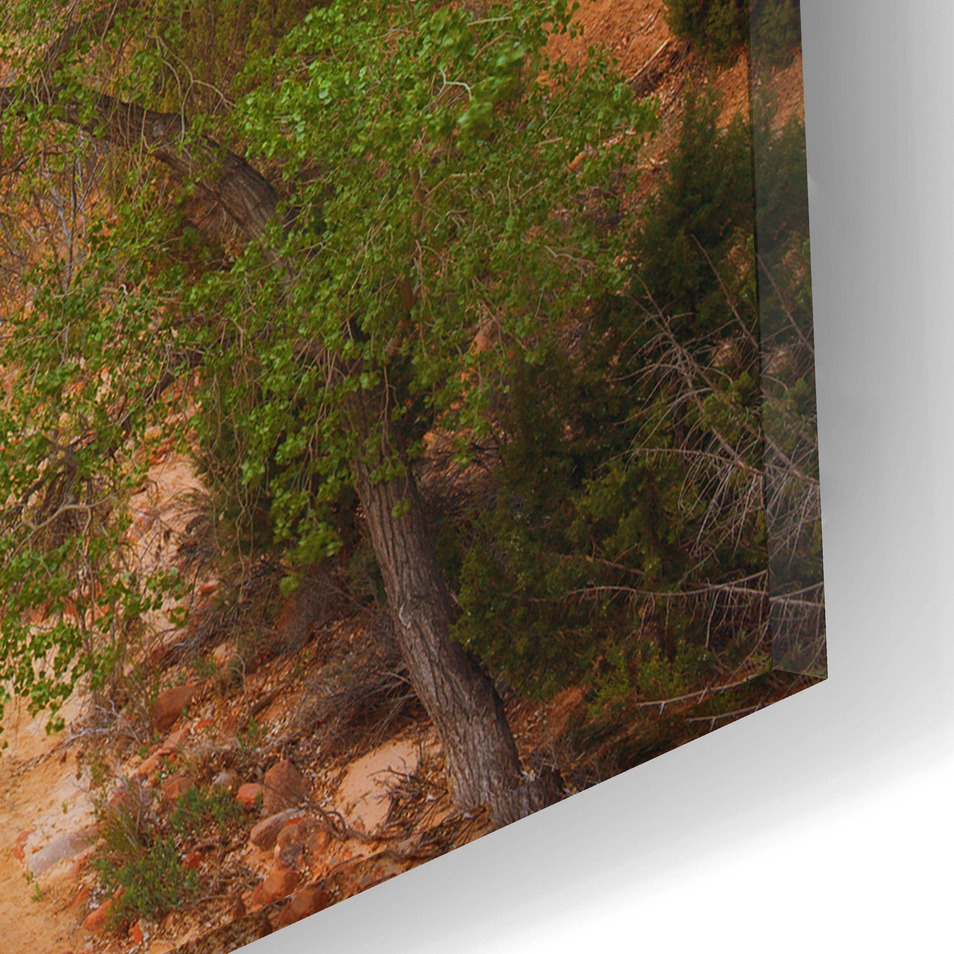 Epic Art 'A Zion Morning' by Darren White, Acrylic Glass Wall Art,16x12