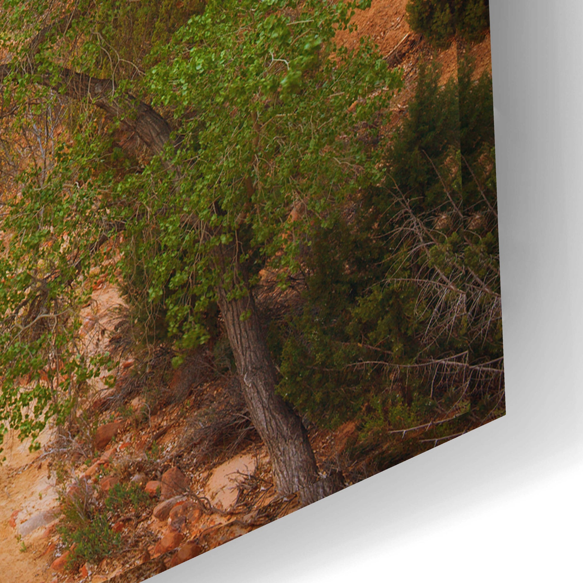 Epic Art 'A Zion Morning' by Darren White, Acrylic Glass Wall Art,24x16