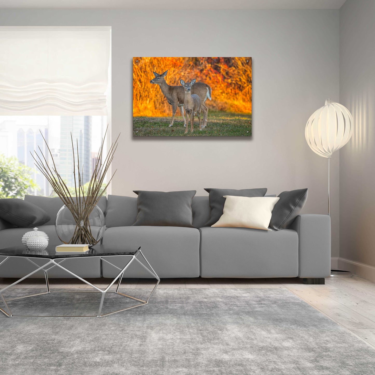 Epic Art 'Acadia Deer' by Darren White, Acrylic Glass Wall Art,36x24