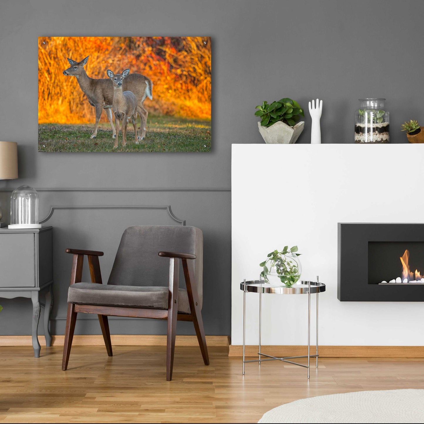 Epic Art 'Acadia Deer' by Darren White, Acrylic Glass Wall Art,36x24