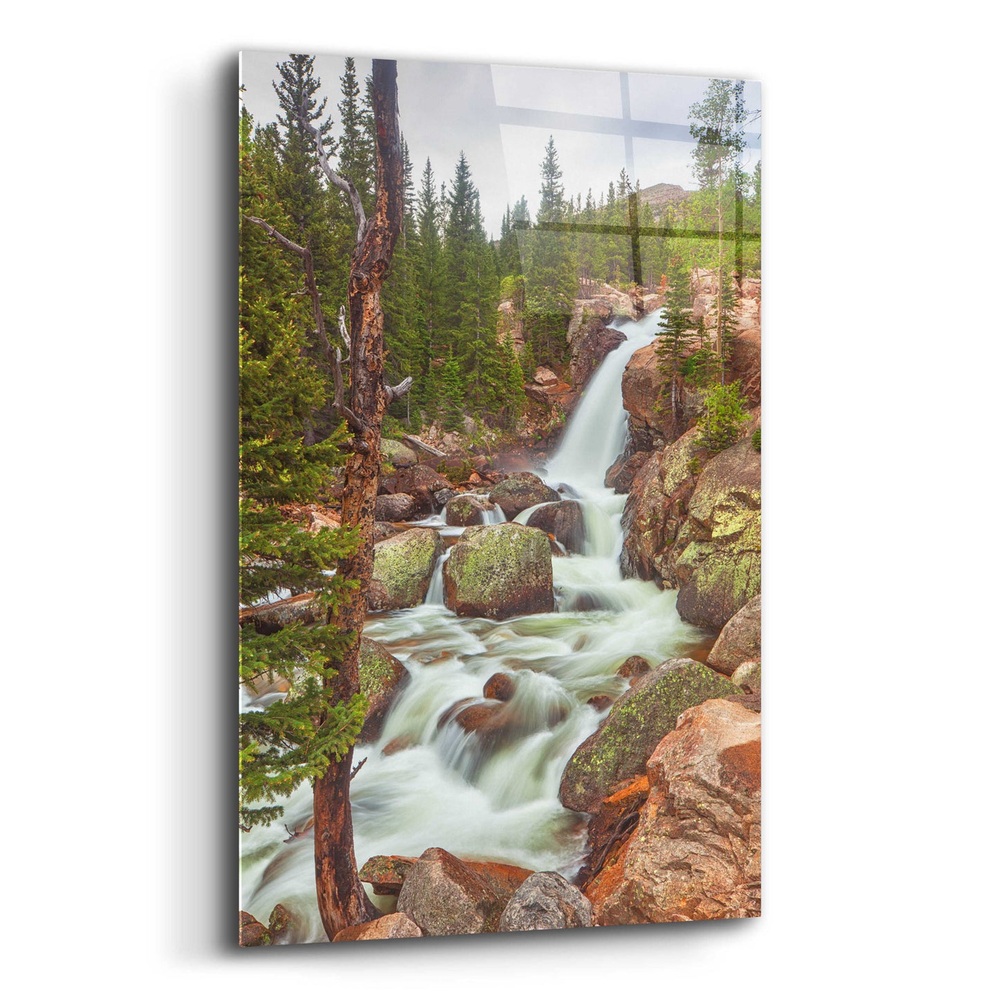Epic Art 'Alberta Falls - Rocky Mountain National Park' by Darren White, Acrylic Glass Wall Art,16x24