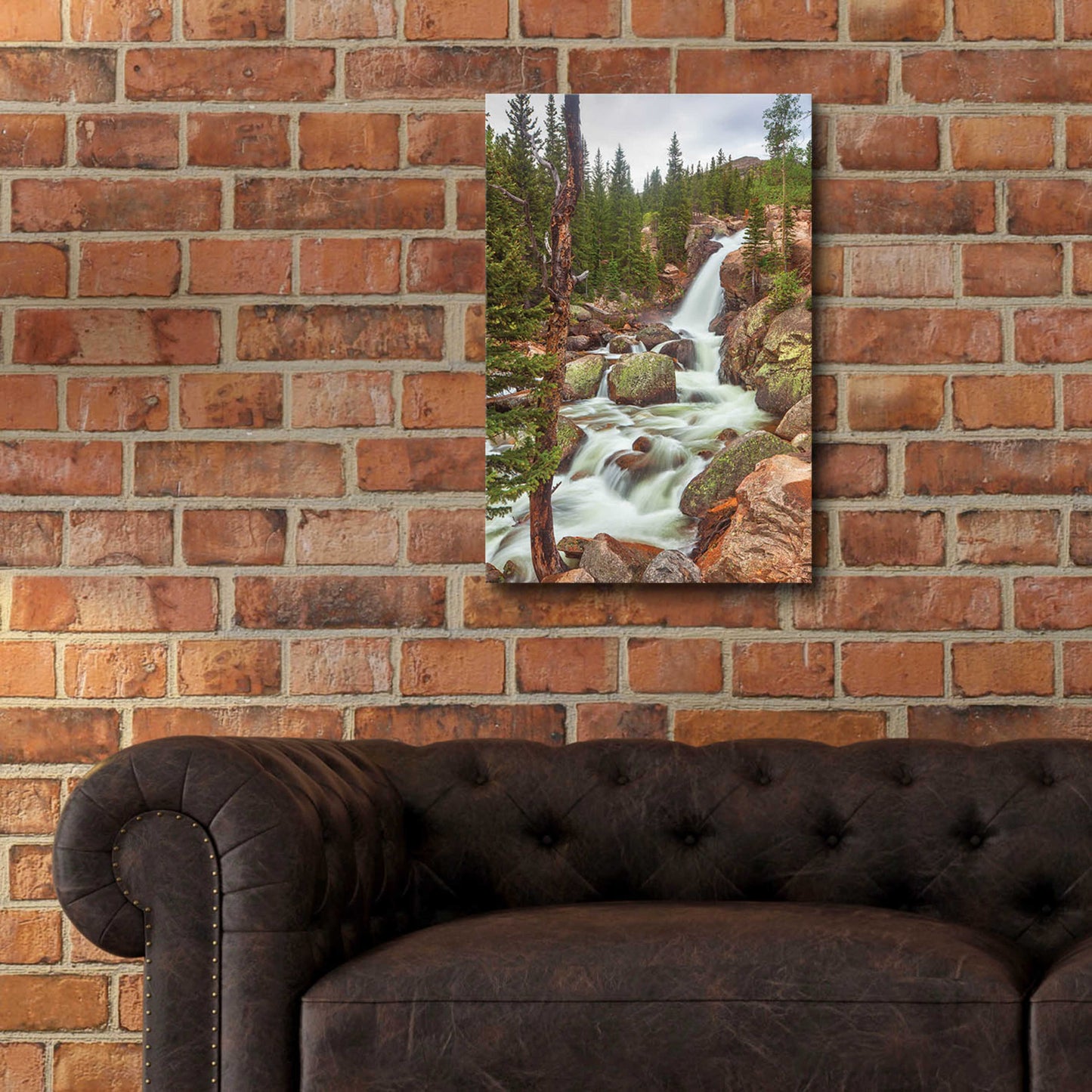 Epic Art 'Alberta Falls - Rocky Mountain National Park' by Darren White, Acrylic Glass Wall Art,16x24