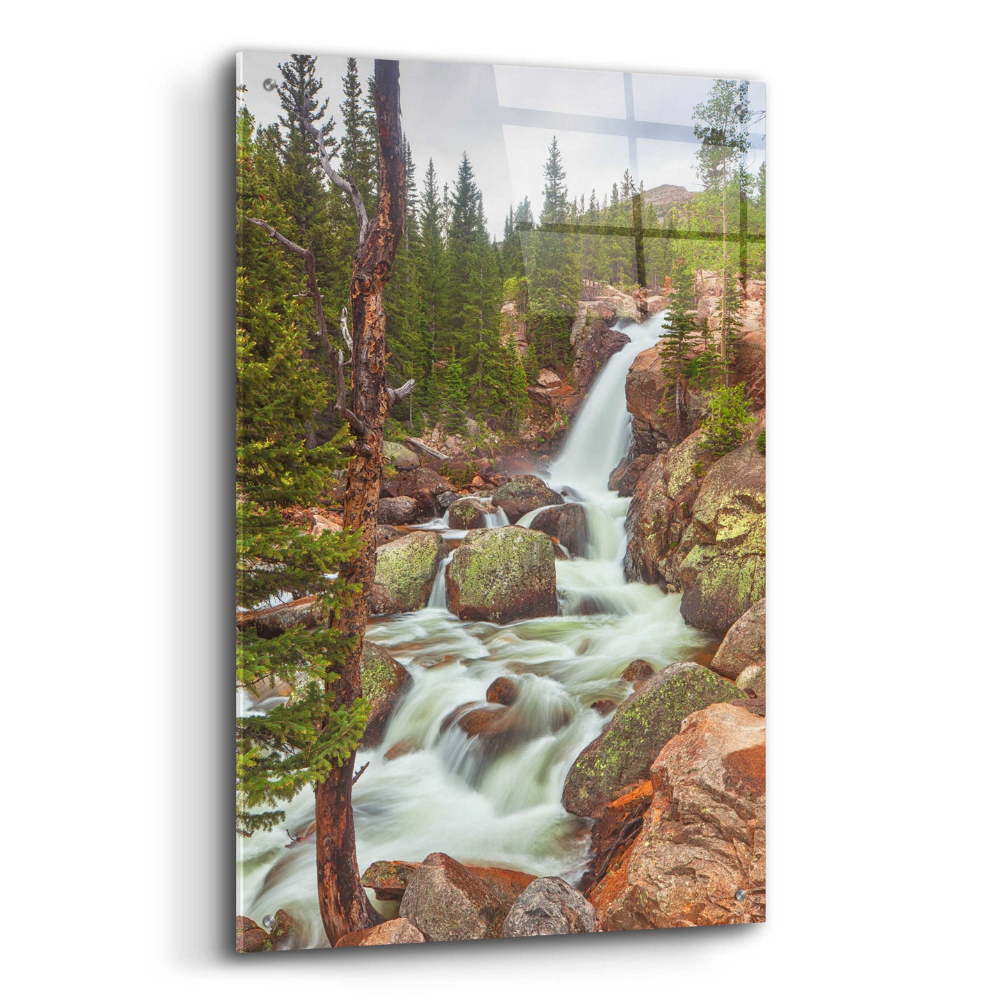 Epic Art 'Alberta Falls - Rocky Mountain National Park' by Darren White, Acrylic Glass Wall Art,24x36