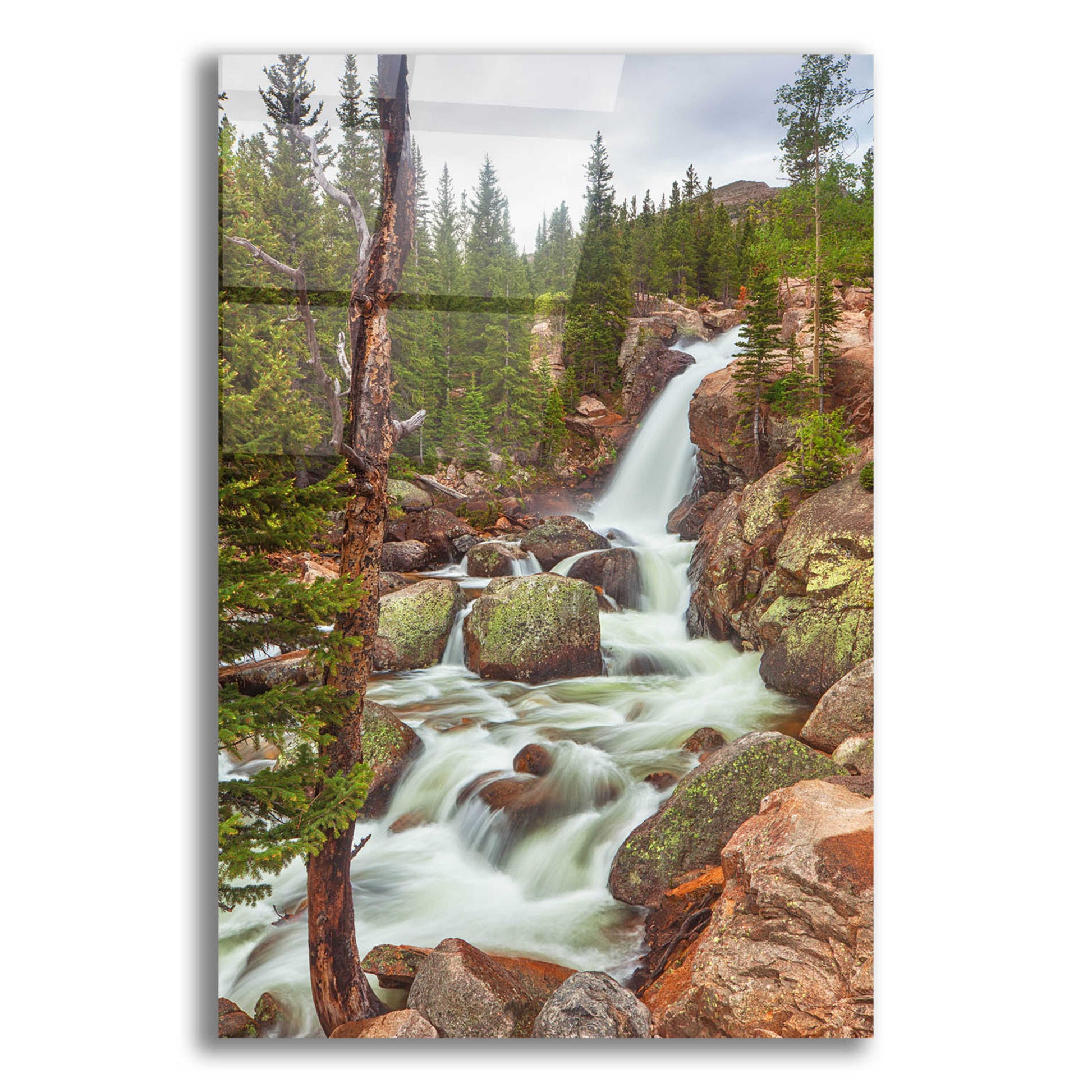 Epic Art 'Alberta Falls - Rocky Mountain National Park' by Darren White, Acrylic Glass Wall Art