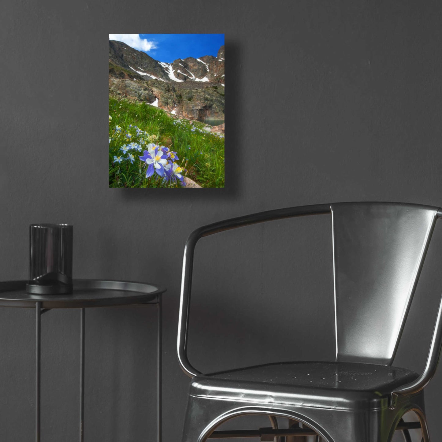 Epic Art 'Alpine Columbine - Rocky Mountain National Park' by Darren White, Acrylic Glass Wall Art,12x16