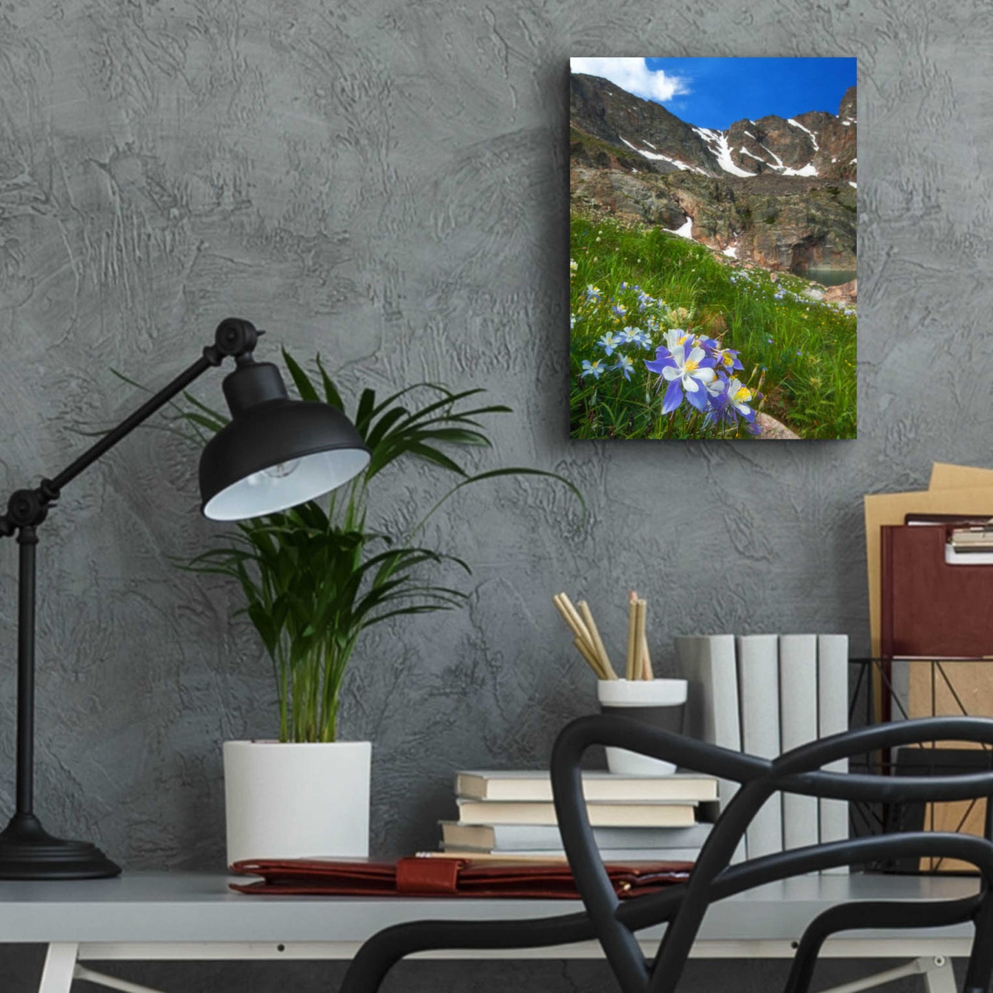 Epic Art 'Alpine Columbine - Rocky Mountain National Park' by Darren White, Acrylic Glass Wall Art,12x16