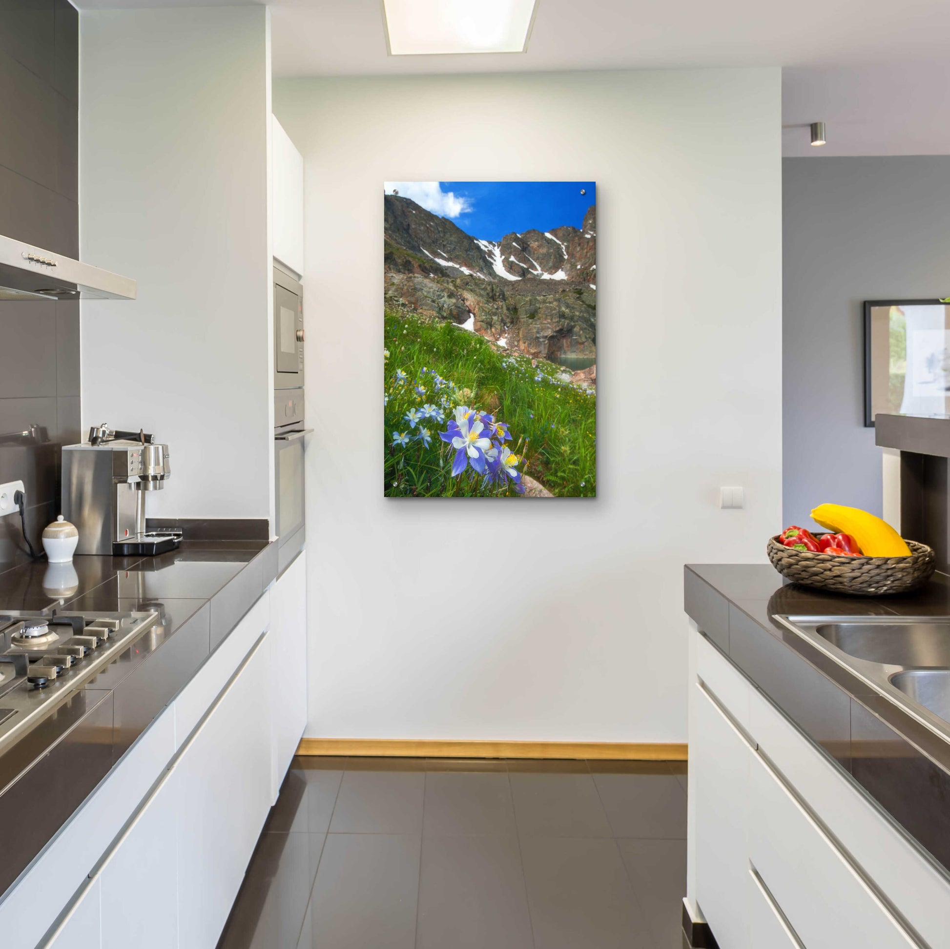 Epic Art 'Alpine Columbine - Rocky Mountain National Park' by Darren White, Acrylic Glass Wall Art,24x36