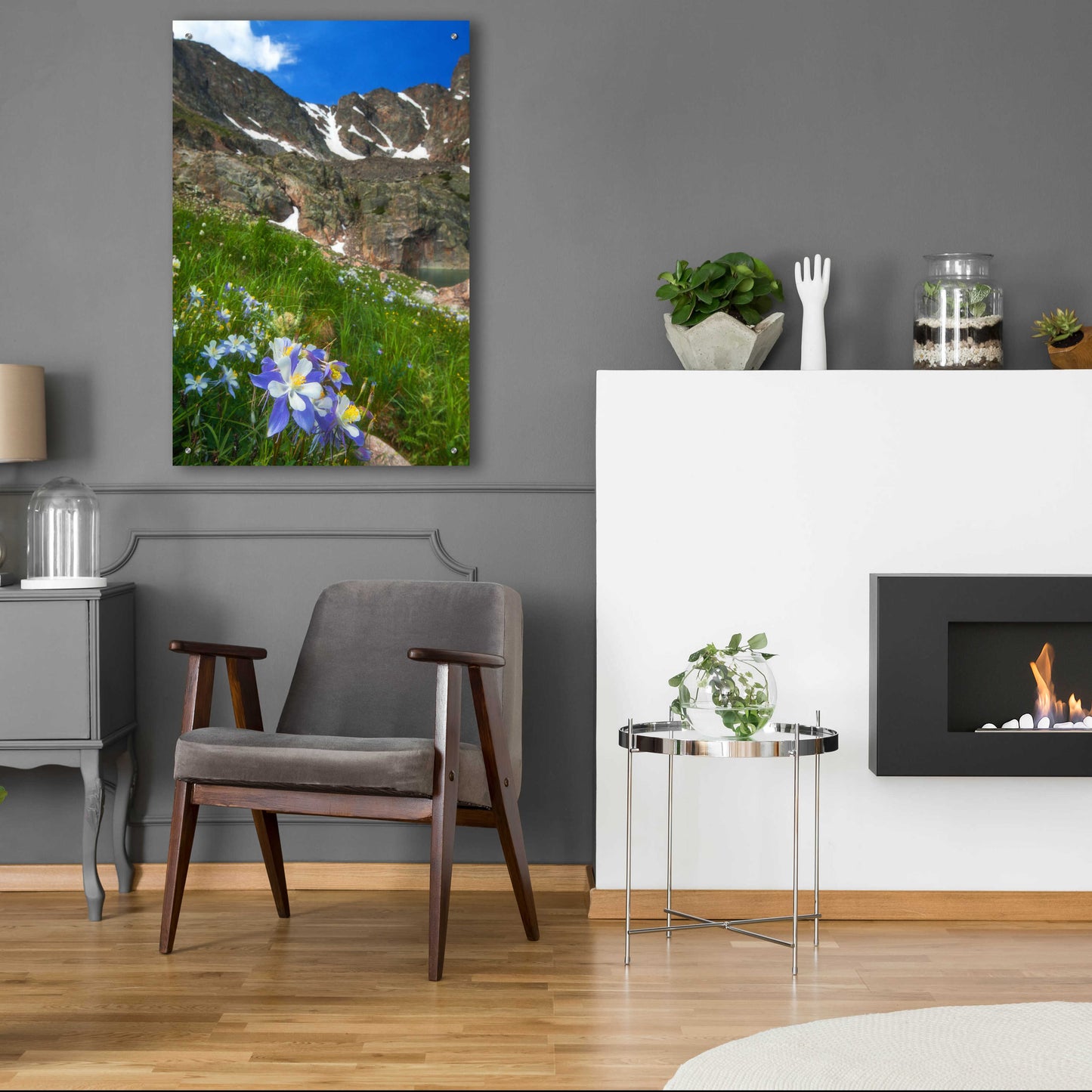 Epic Art 'Alpine Columbine - Rocky Mountain National Park' by Darren White, Acrylic Glass Wall Art,24x36