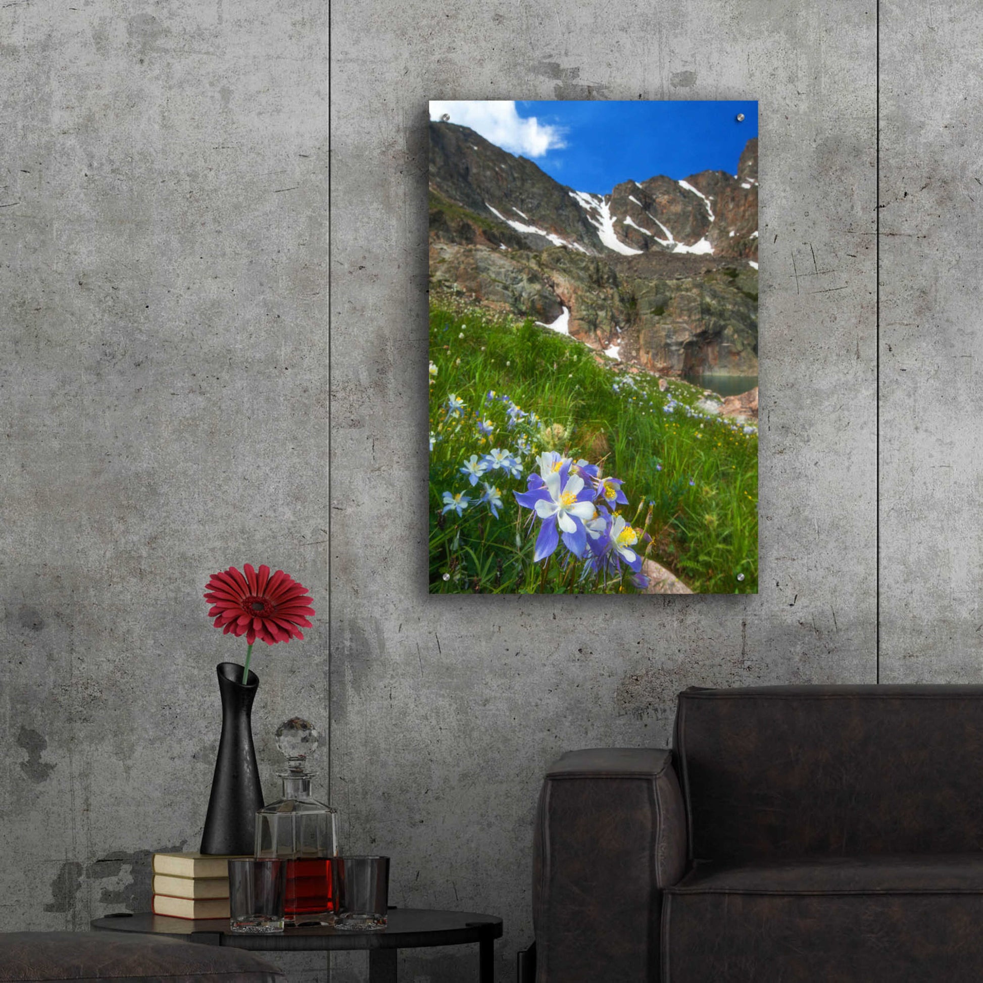 Epic Art 'Alpine Columbine - Rocky Mountain National Park' by Darren White, Acrylic Glass Wall Art,24x36