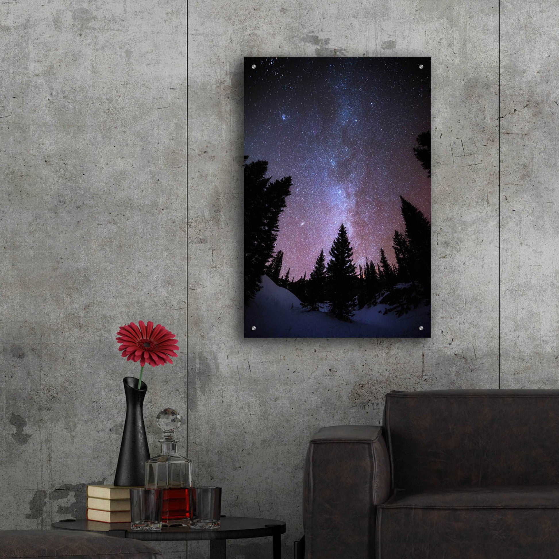Epic Art 'Andromeda Our Neighbor - Rocky Mountain National Park' by Darren White, Acrylic Glass Wall Art,24x36