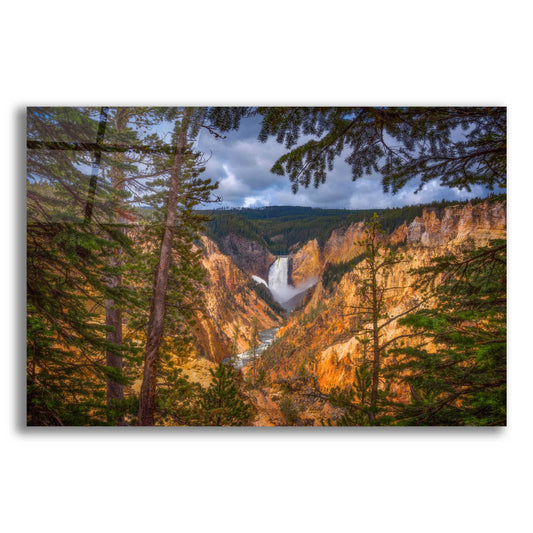 Epic Art 'Artist Point Afternoon - Yellowstone National Park' by Darren White, Acrylic Glass Wall Art