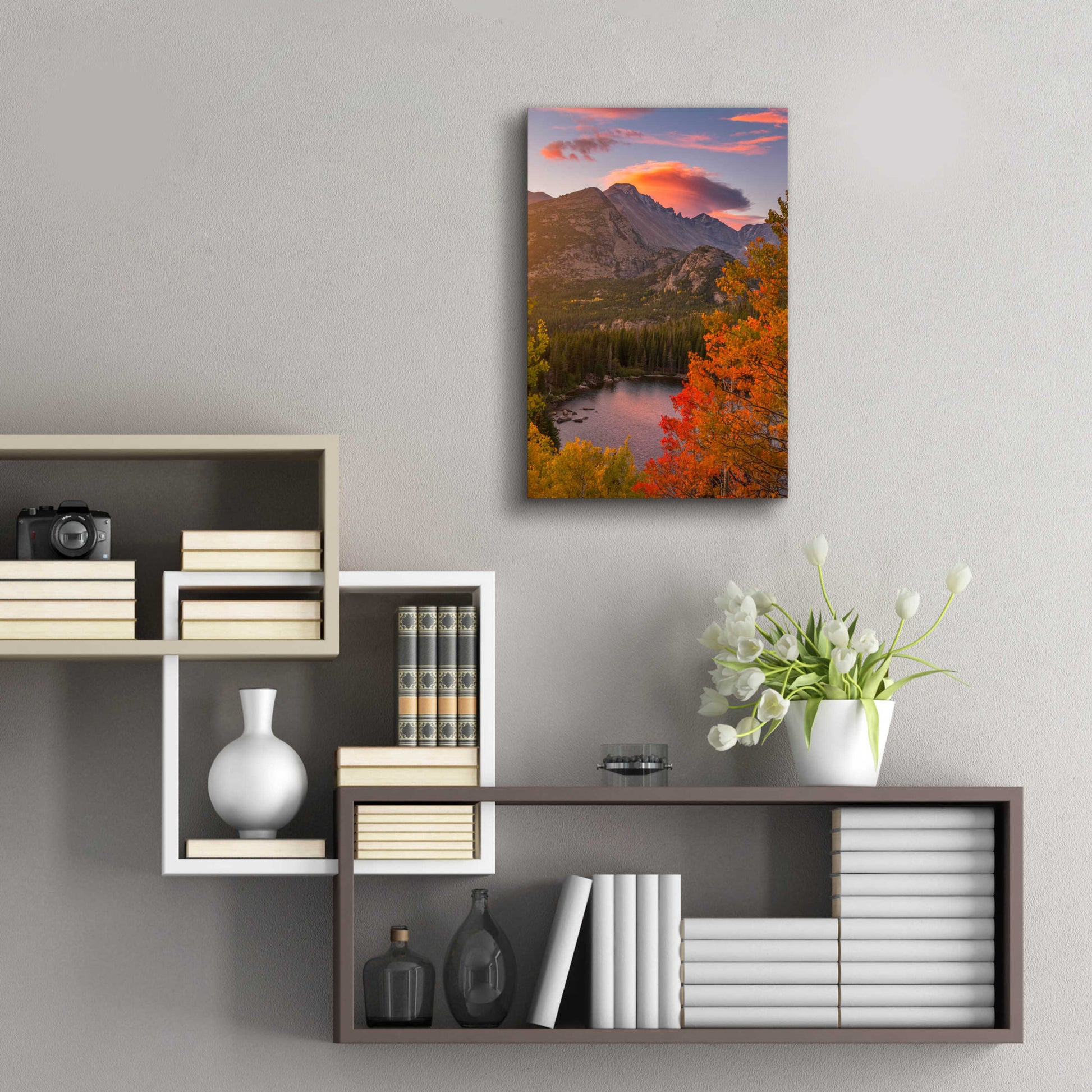 Epic Art 'Autumn Sunrise over Longs Peak - Rocky Mountain National Park' by Darren White, Acrylic Glass Wall Art,16x24