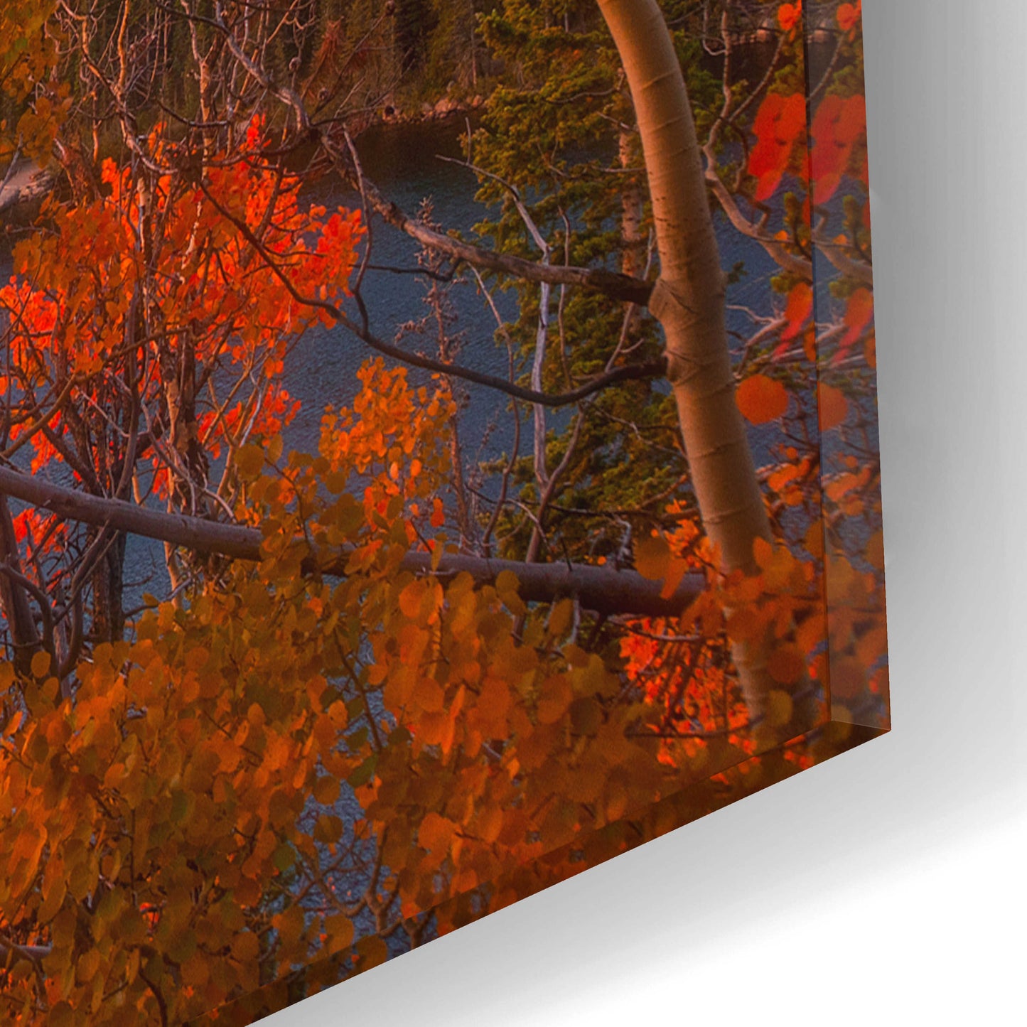 Epic Art 'Autumn's Breath - Rocky Mountain National Park' by Darren White, Acrylic Glass Wall Art,16x12