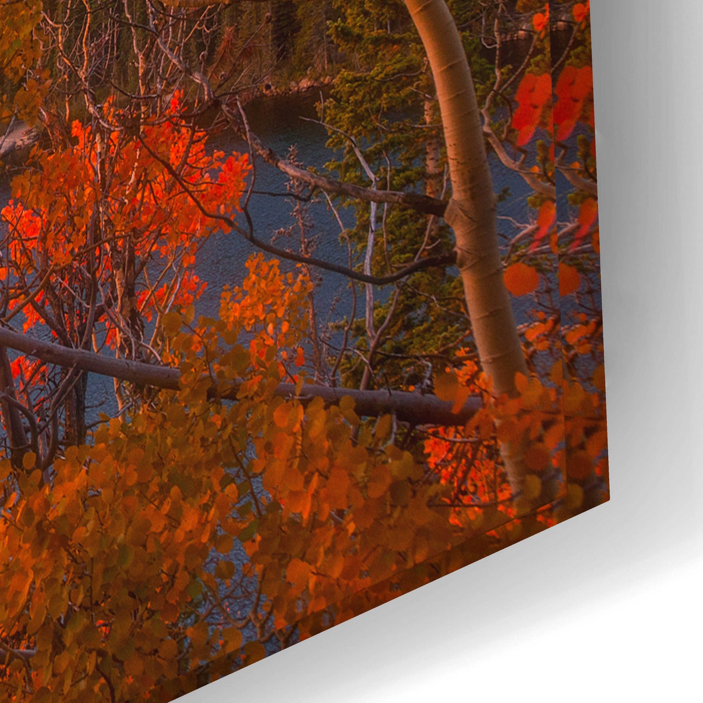 Epic Art 'Autumn's Breath - Rocky Mountain National Park' by Darren White, Acrylic Glass Wall Art,24x16