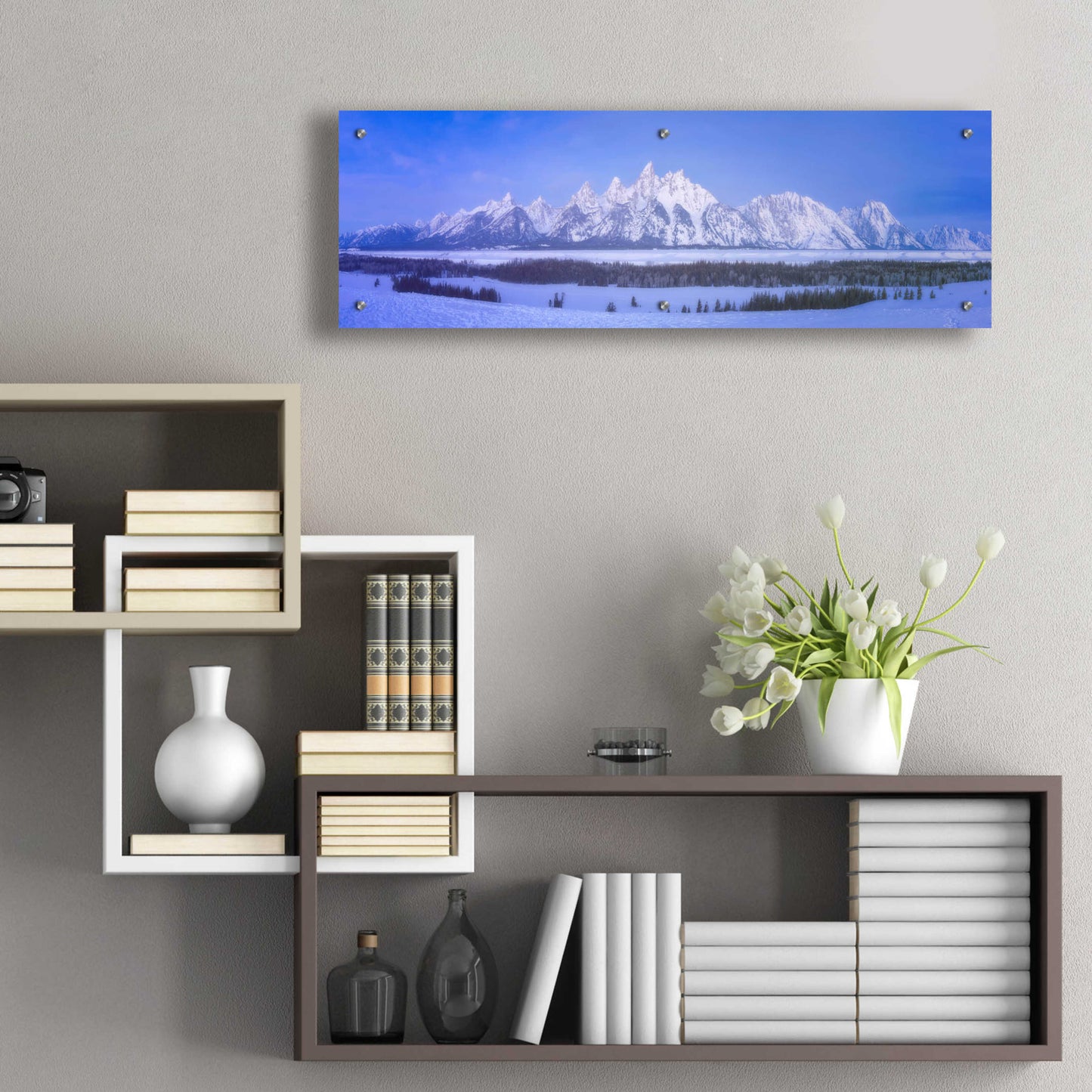 Epic Art 'Blue Hour in the Tetons - Grand Teton National Park' by Darren White, Acrylic Glass Wall Art,36x12