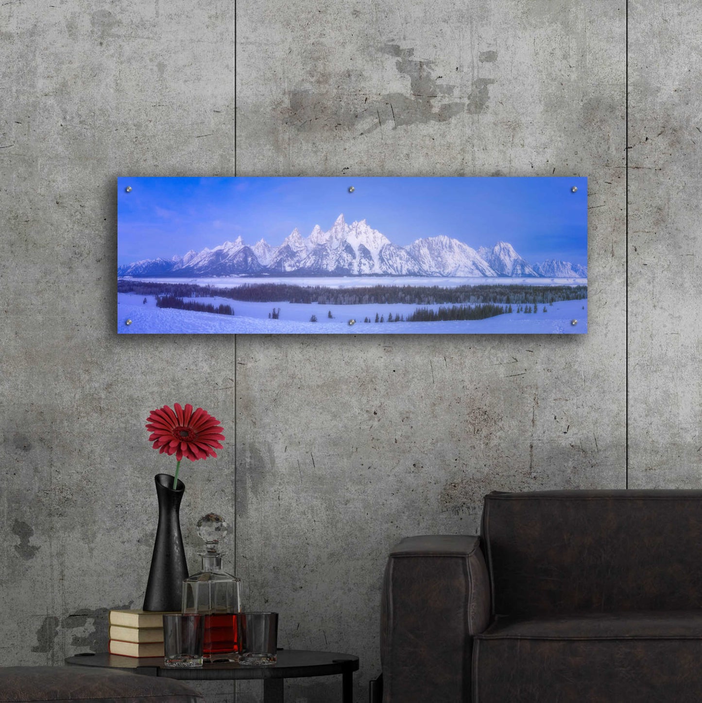 Epic Art 'Blue Hour in the Tetons - Grand Teton National Park' by Darren White, Acrylic Glass Wall Art,48x16