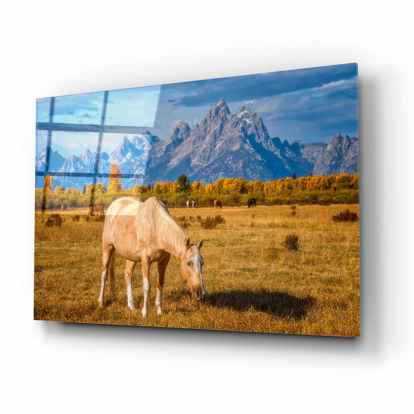 Epic Art 'Breakfast in the Tetons - Grand Teton National Park' by Darren White, Acrylic Glass Wall Art,16x12