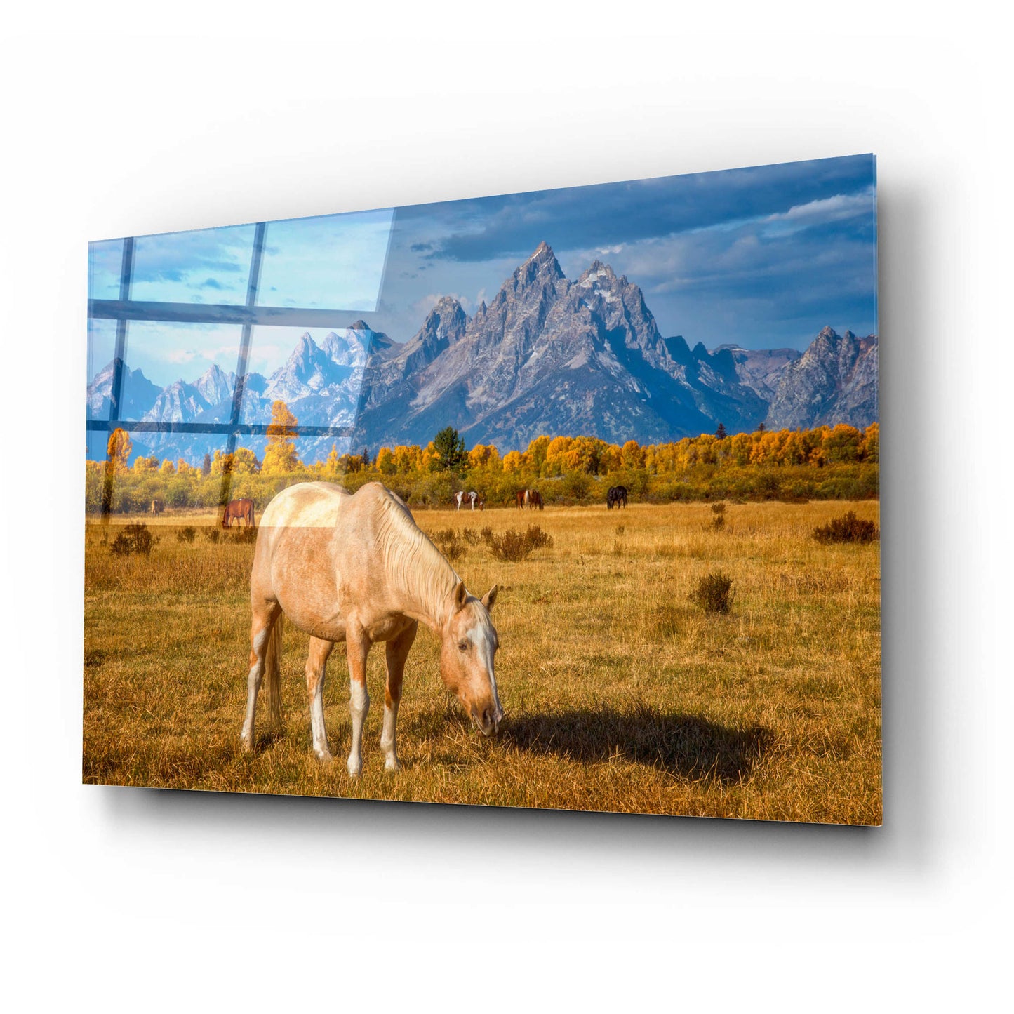 Epic Art 'Breakfast in the Tetons - Grand Teton National Park' by Darren White, Acrylic Glass Wall Art,24x16