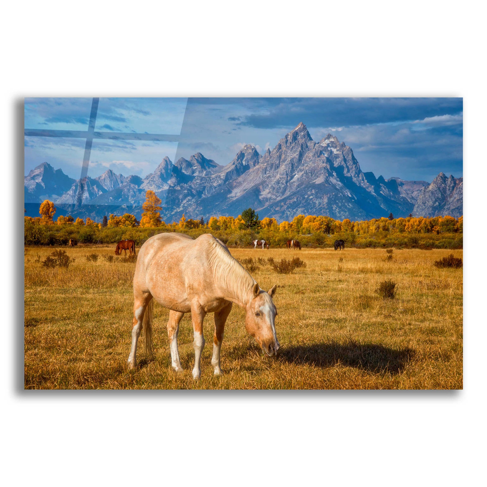 Epic Art 'Breakfast in the Tetons - Grand Teton National Park' by Darren White, Acrylic Glass Wall Art,24x16