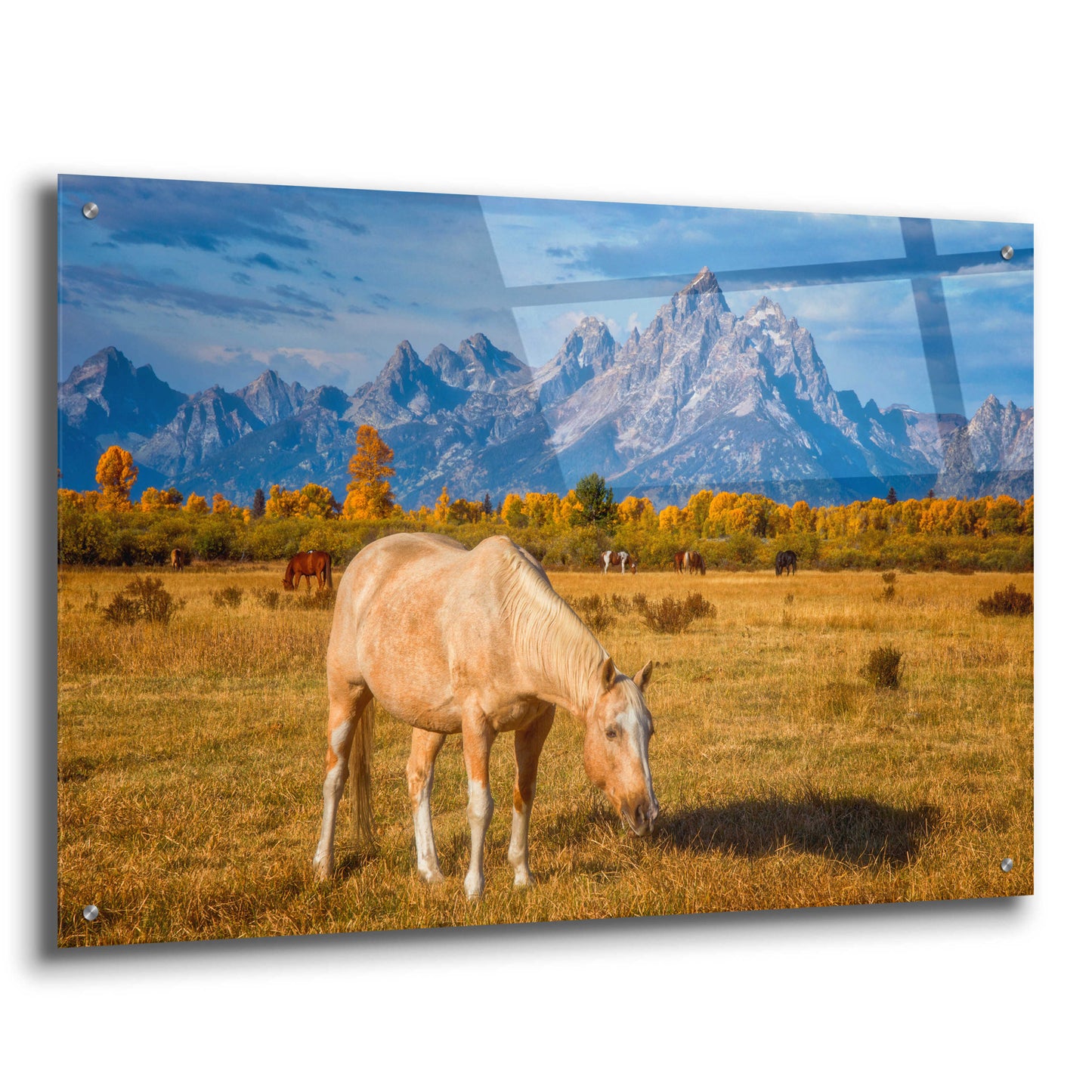 Epic Art 'Breakfast in the Tetons - Grand Teton National Park' by Darren White, Acrylic Glass Wall Art,36x24