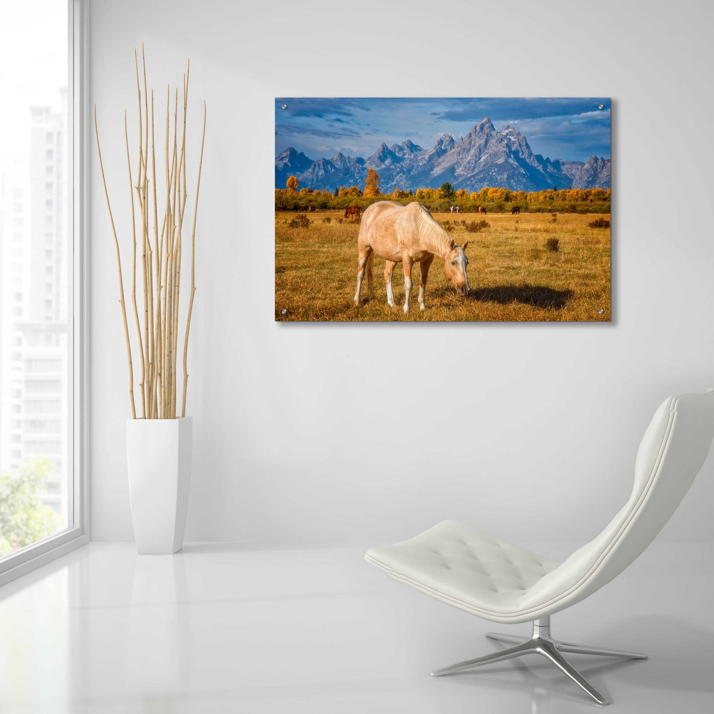 Epic Art 'Breakfast in the Tetons - Grand Teton National Park' by Darren White, Acrylic Glass Wall Art,36x24