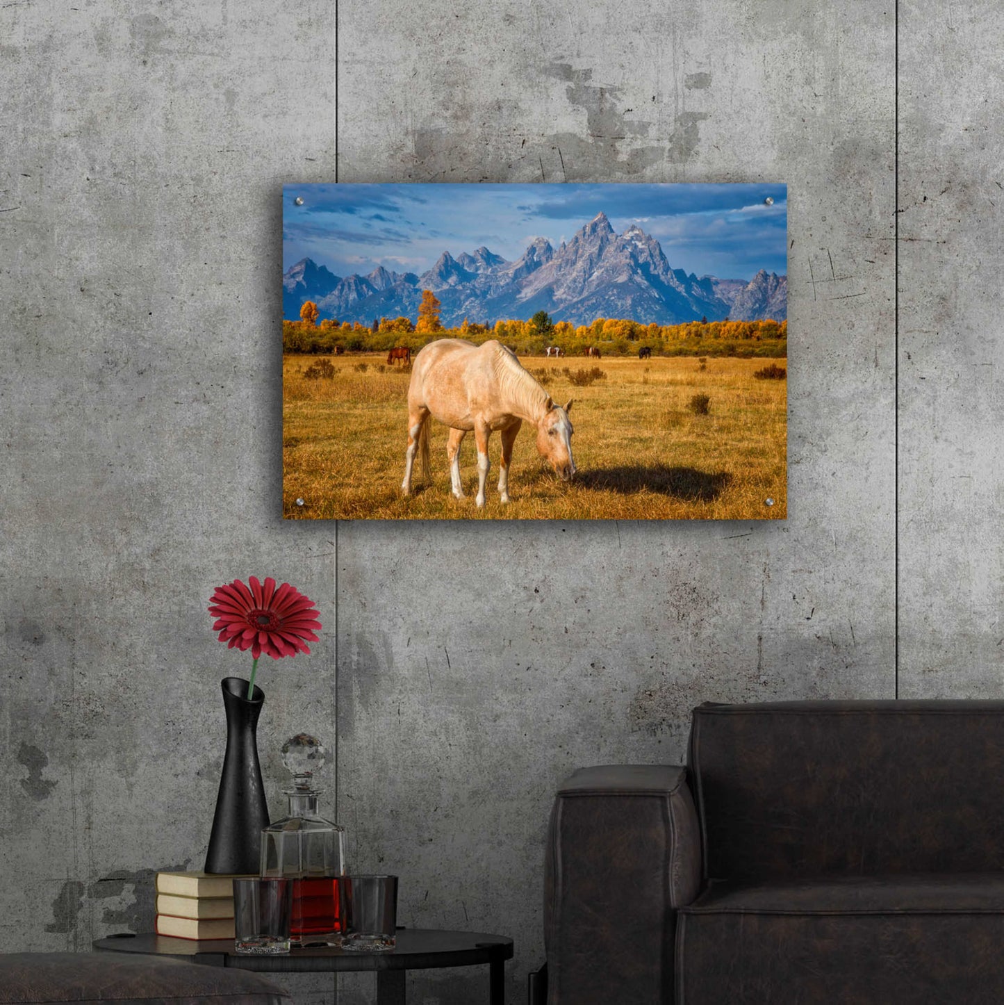 Epic Art 'Breakfast in the Tetons - Grand Teton National Park' by Darren White, Acrylic Glass Wall Art,36x24