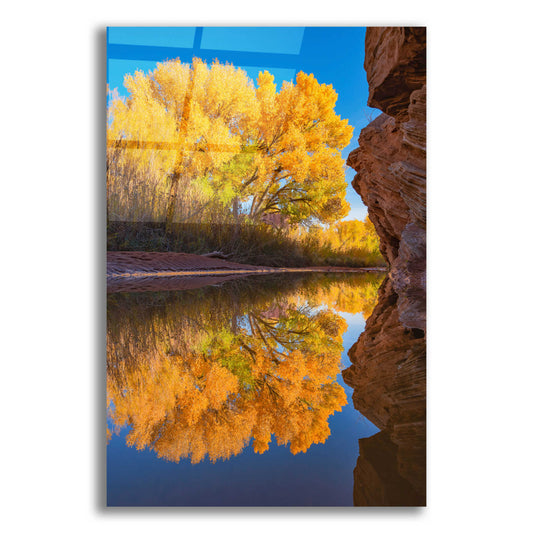 Epic Art 'Colors of the Courthouse - Arches National Park' by Darren White, Acrylic Glass Wall Art