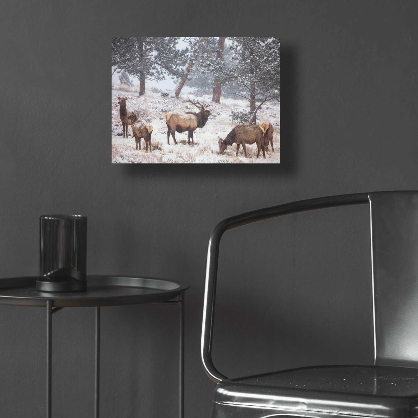 Epic Art 'Family Man - Rocky Mountain National Park' by Darren White, Acrylic Glass Wall Art,16x12