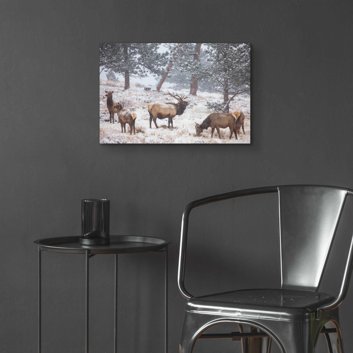 Epic Art 'Family Man - Rocky Mountain National Park' by Darren White, Acrylic Glass Wall Art,24x16