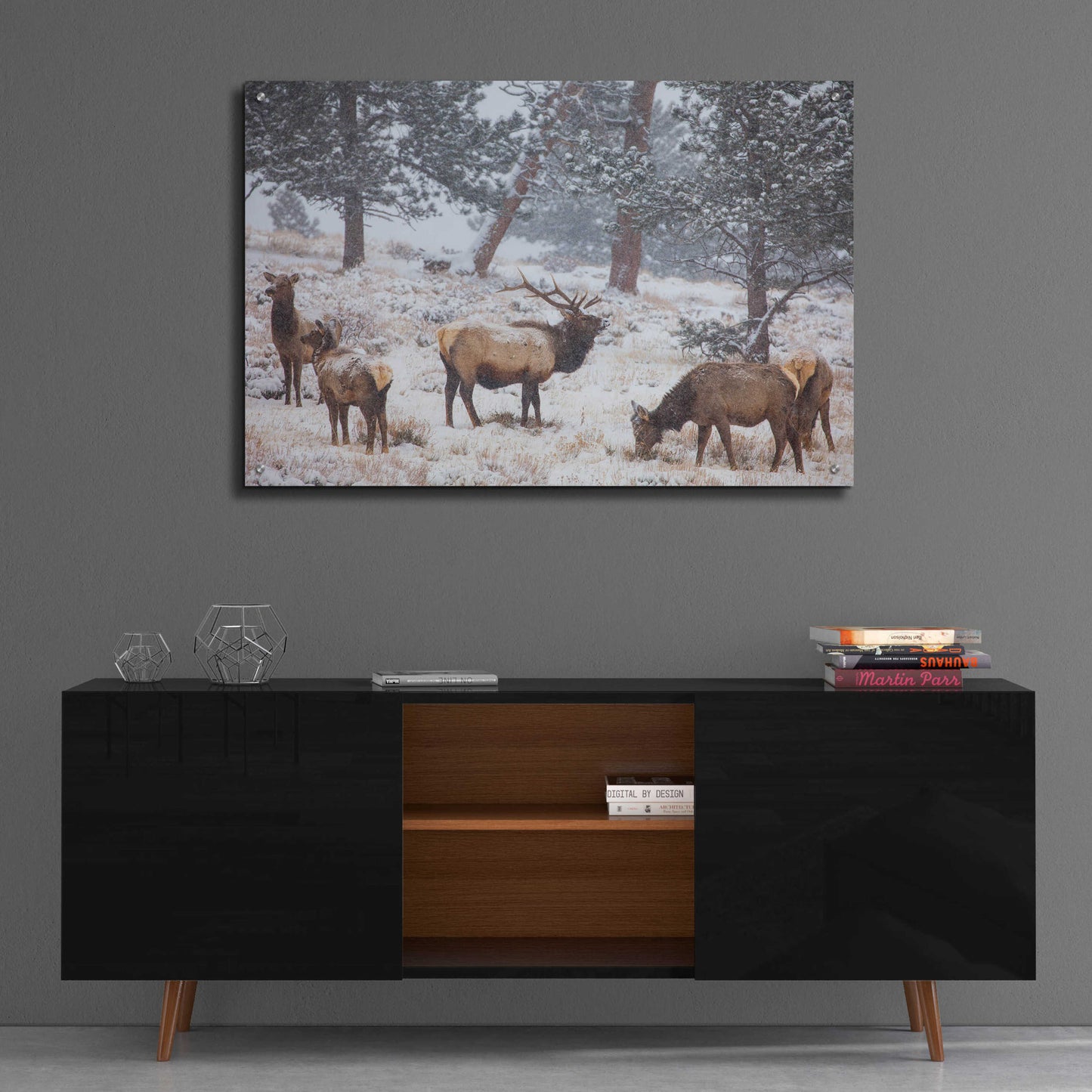 Epic Art 'Family Man - Rocky Mountain National Park' by Darren White, Acrylic Glass Wall Art,36x24