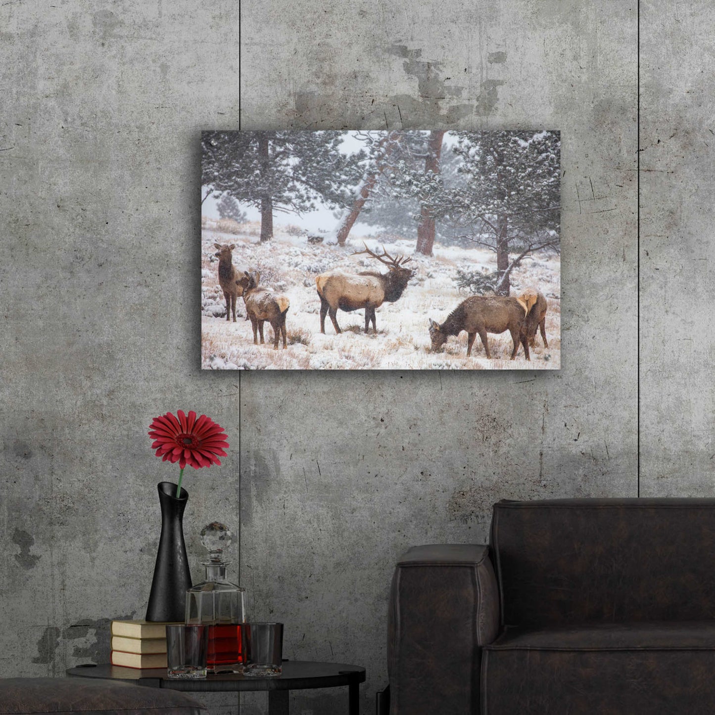 Epic Art 'Family Man - Rocky Mountain National Park' by Darren White, Acrylic Glass Wall Art,36x24