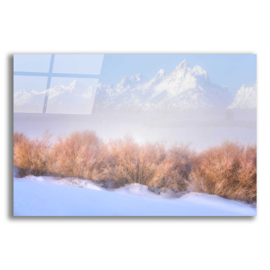 Epic Art 'Fresh Fog in the Valley - Grand Teton National Park' by Darren White, Acrylic Glass Wall Art