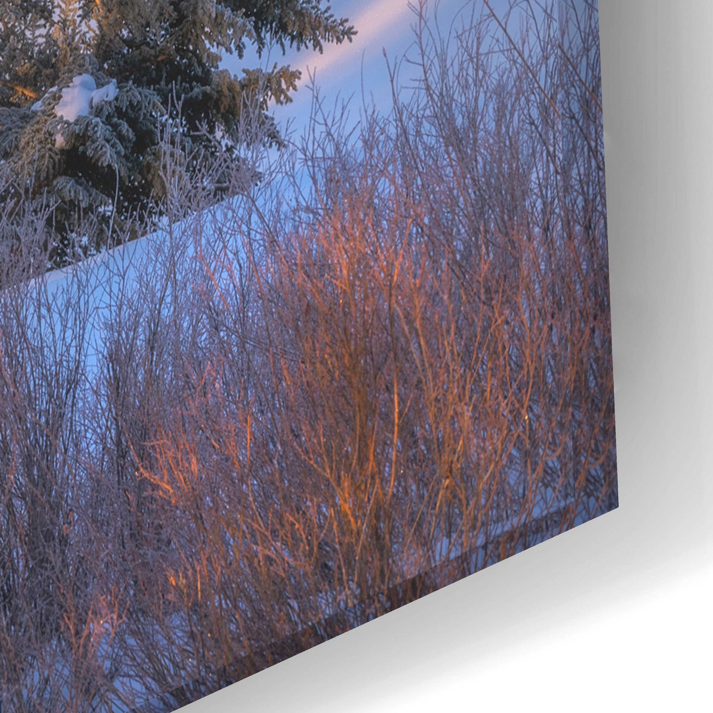 Epic Art 'Frosted and Falling - Grand Teton National Park' by Darren White, Acrylic Glass Wall Art,24x16