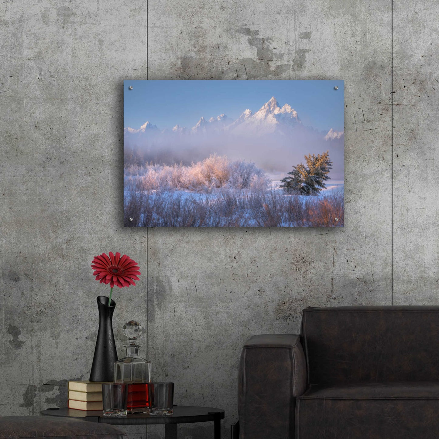 Epic Art 'Frosted and Falling - Grand Teton National Park' by Darren White, Acrylic Glass Wall Art,36x24