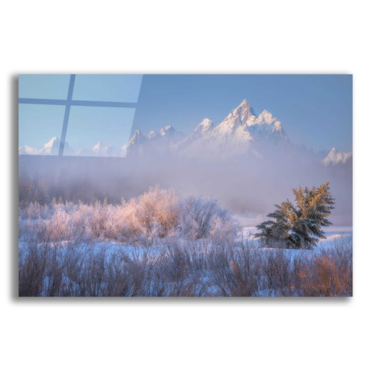 Epic Art 'Frosted and Falling - Grand Teton National Park' by Darren White, Acrylic Glass Wall Art