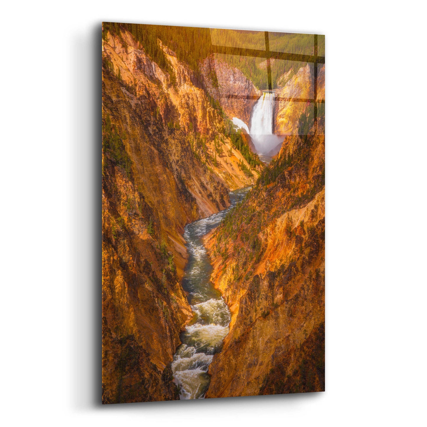 Epic Art 'Golden Falls of Yellowstone - Yellowstone National Park' by Darren White, Acrylic Glass Wall Art,12x16