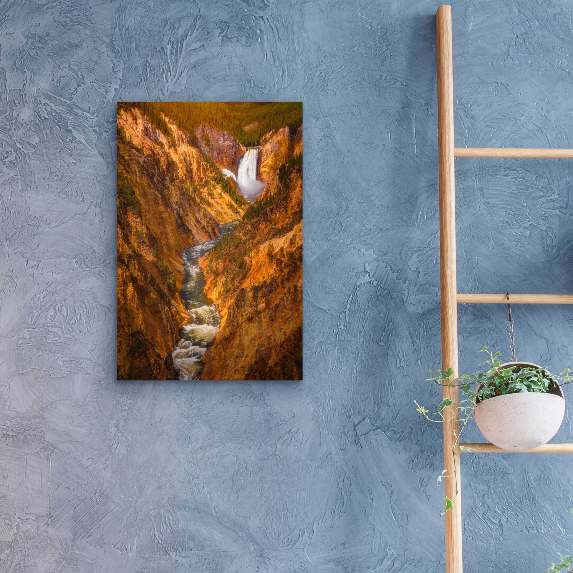 Epic Art 'Golden Falls of Yellowstone - Yellowstone National Park' by Darren White, Acrylic Glass Wall Art,16x24