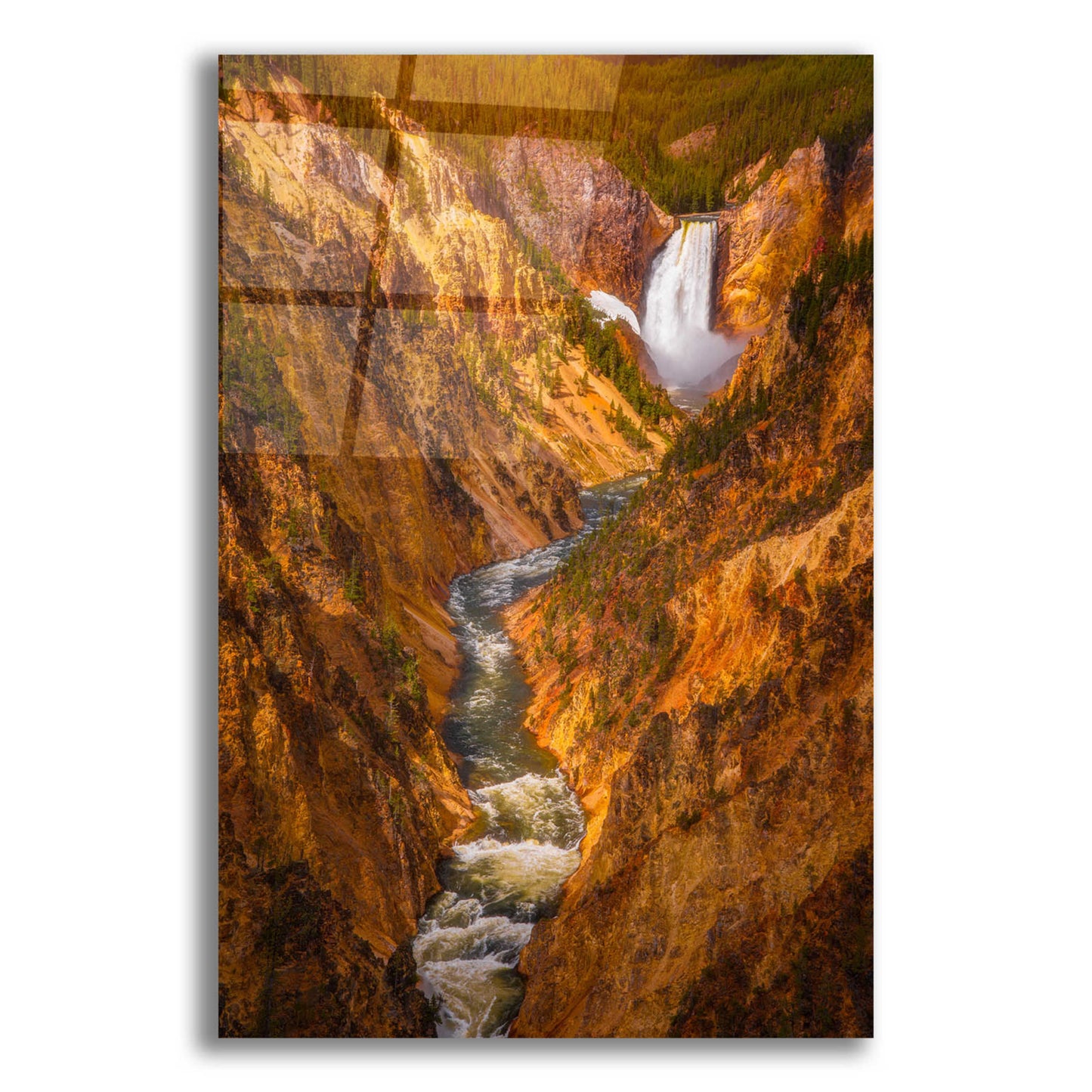 Epic Art 'Golden Falls of Yellowstone - Yellowstone National Park' by Darren White, Acrylic Glass Wall Art