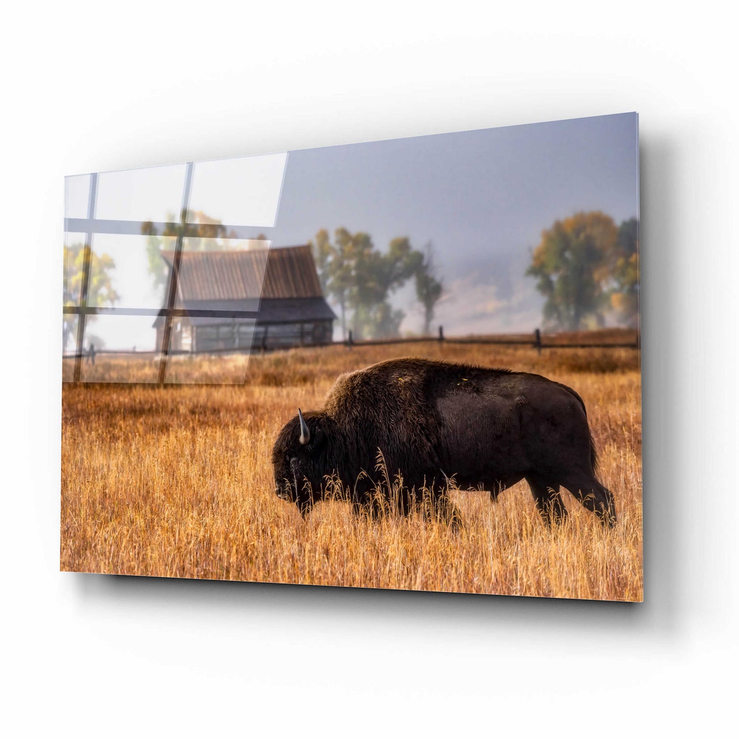 Epic Art 'Home on the Range - Grand Teton National Park' by Darren White, Acrylic Glass Wall Art,16x12