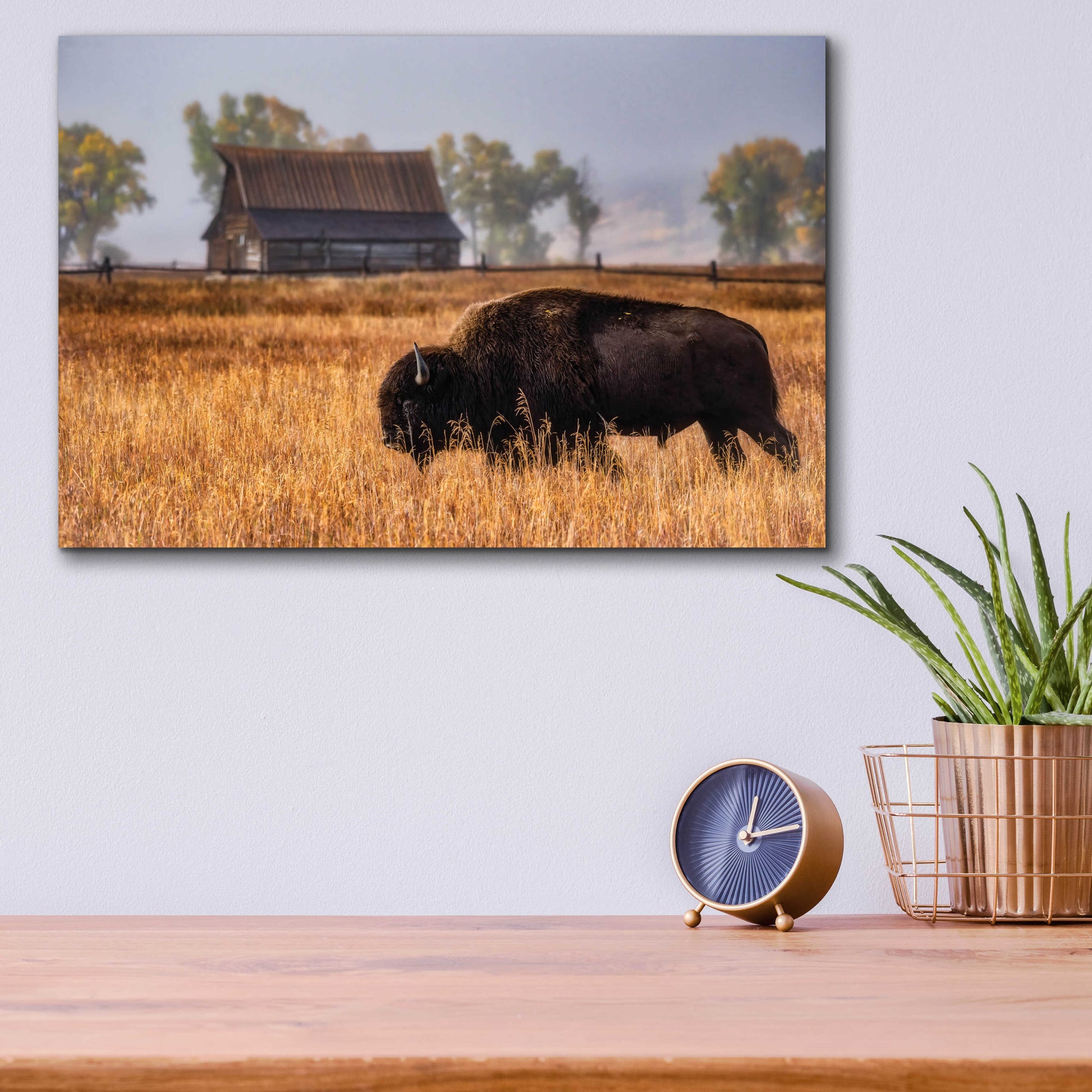 Epic Art 'Home on the Range - Grand Teton National Park' by Darren White, Acrylic Glass Wall Art,16x12