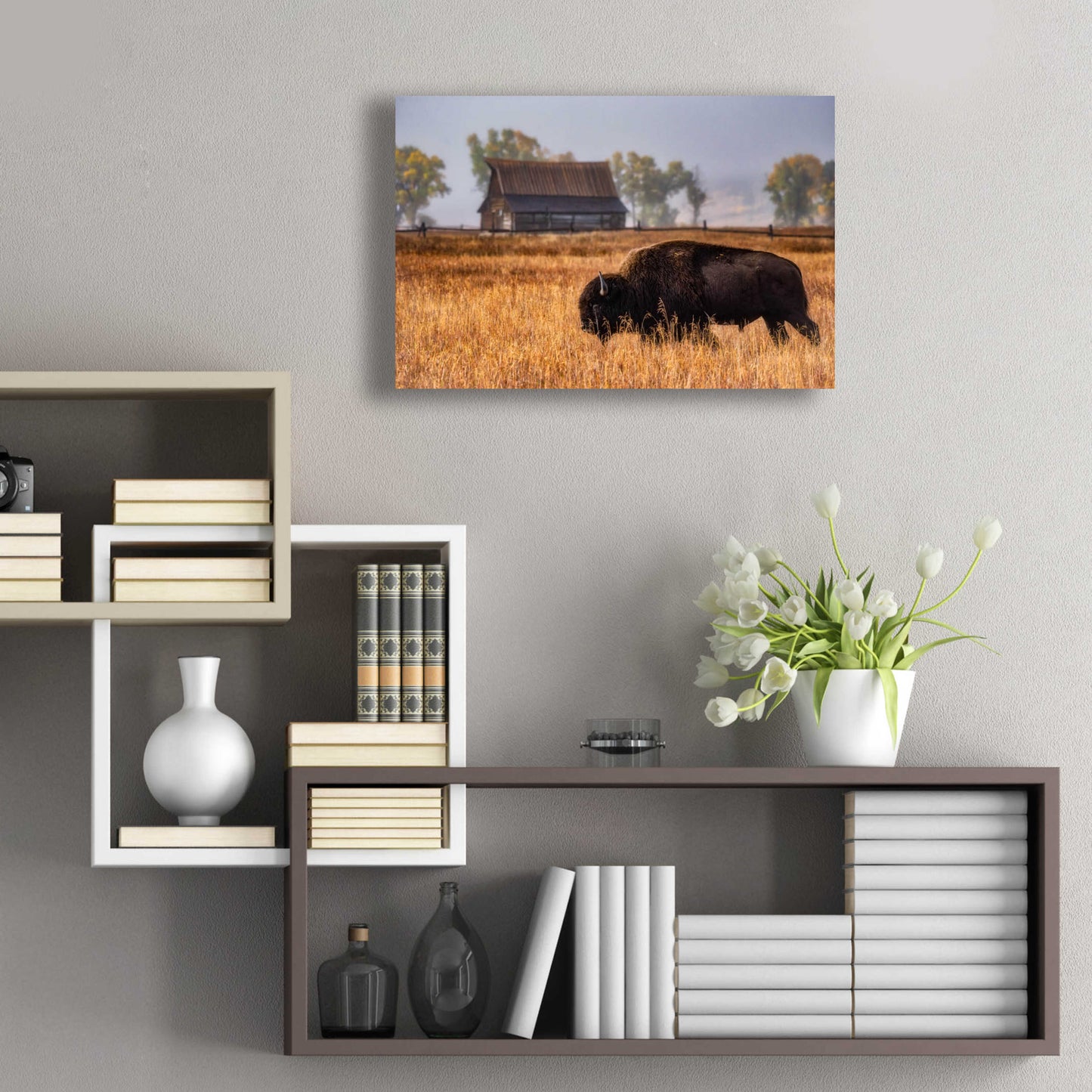 Epic Art 'Home on the Range - Grand Teton National Park' by Darren White, Acrylic Glass Wall Art,24x16