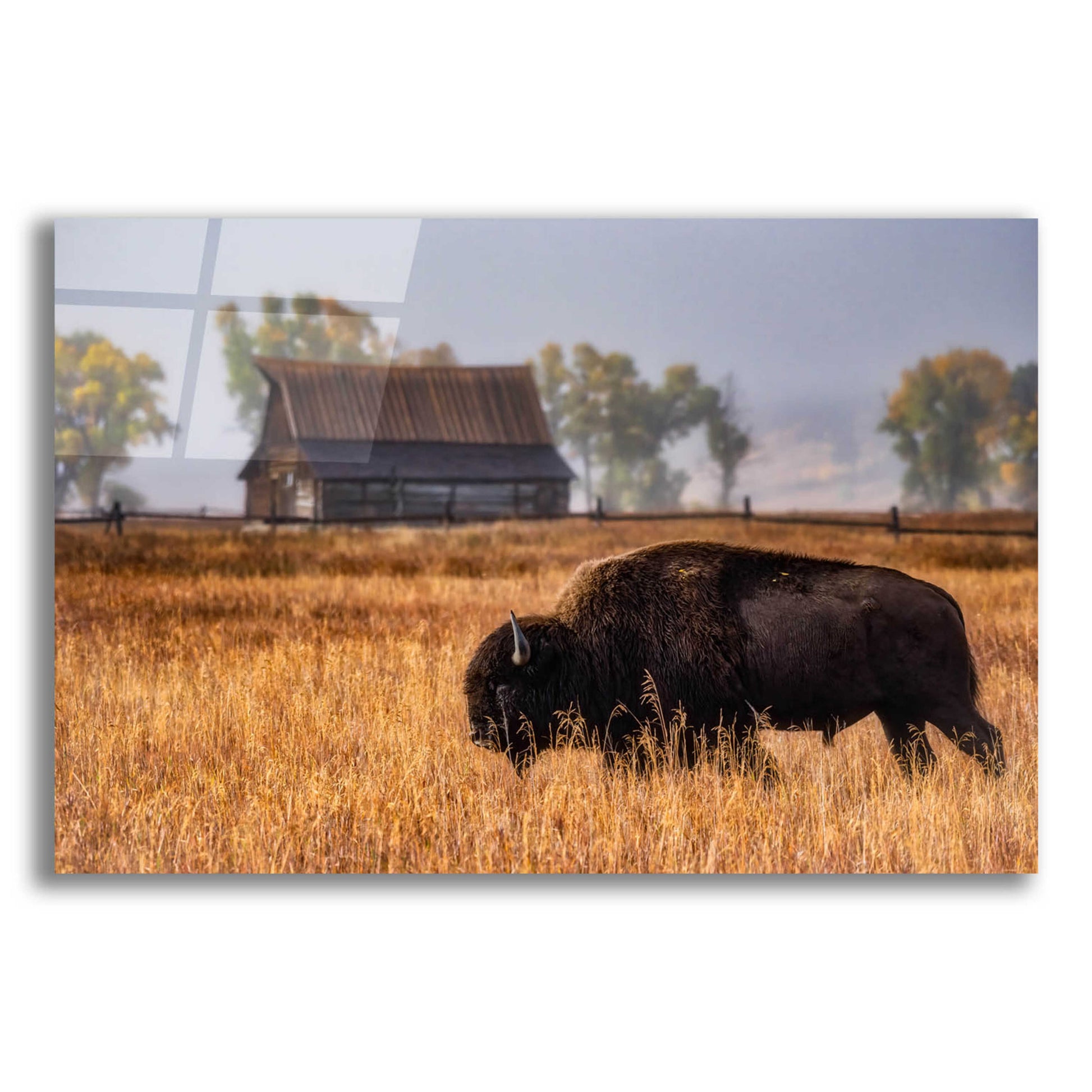 Epic Art 'Home on the Range - Grand Teton National Park' by Darren White, Acrylic Glass Wall Art,24x16