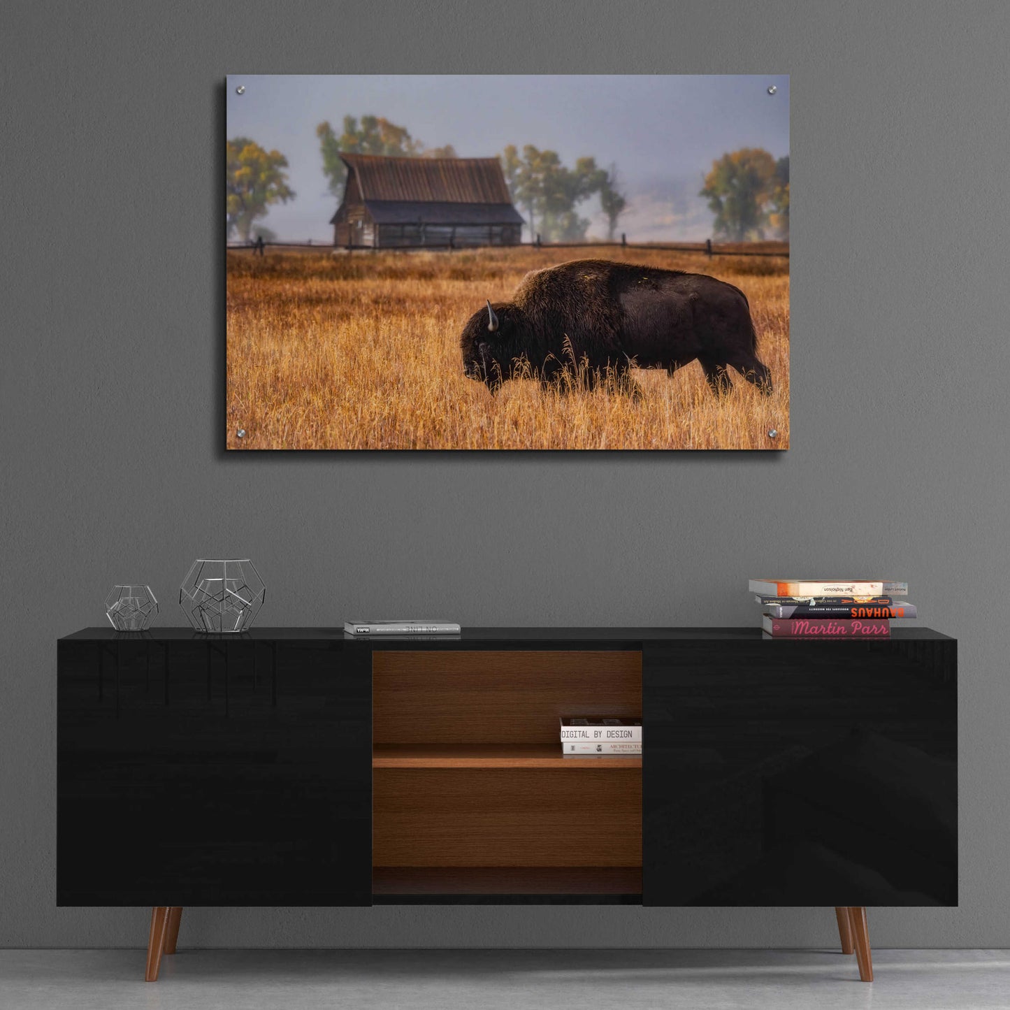 Epic Art 'Home on the Range - Grand Teton National Park' by Darren White, Acrylic Glass Wall Art,36x24