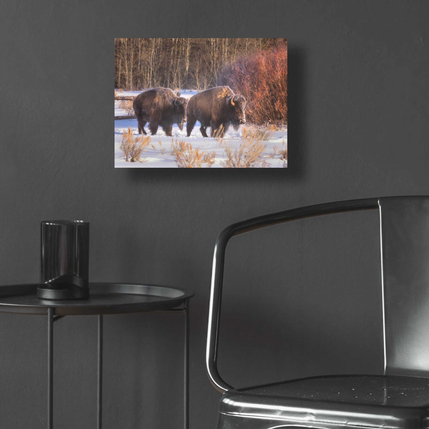 Epic Art 'Let's Go - Grand Teton National Park' by Darren White, Acrylic Glass Wall Art,16x12