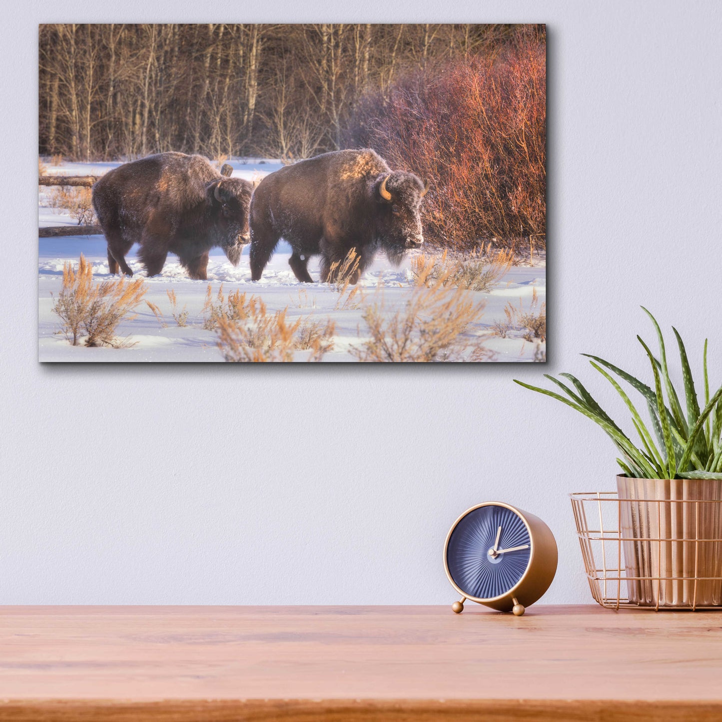 Epic Art 'Let's Go - Grand Teton National Park' by Darren White, Acrylic Glass Wall Art,16x12