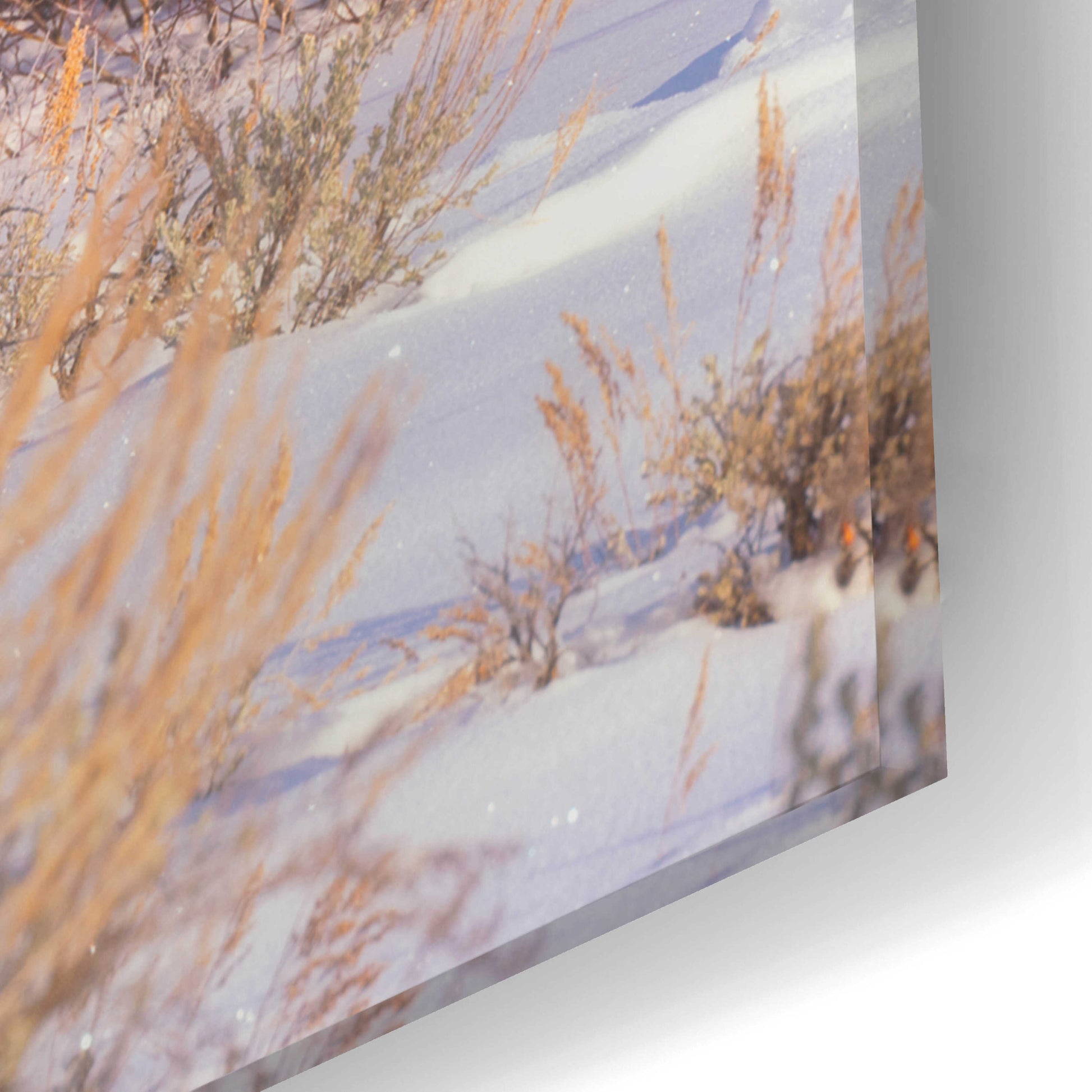 Epic Art 'Let's Go - Grand Teton National Park' by Darren White, Acrylic Glass Wall Art,24x16