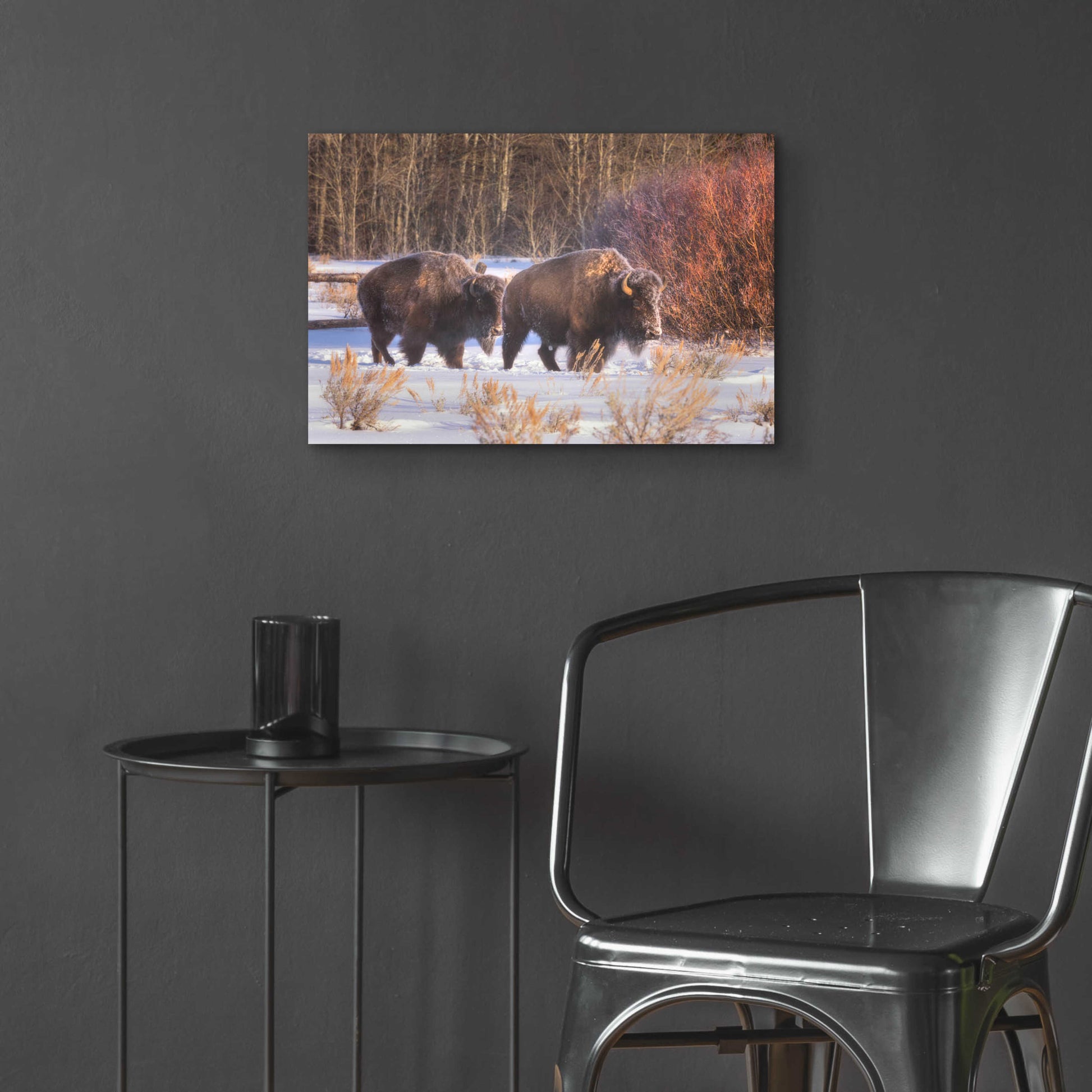 Epic Art 'Let's Go - Grand Teton National Park' by Darren White, Acrylic Glass Wall Art,24x16