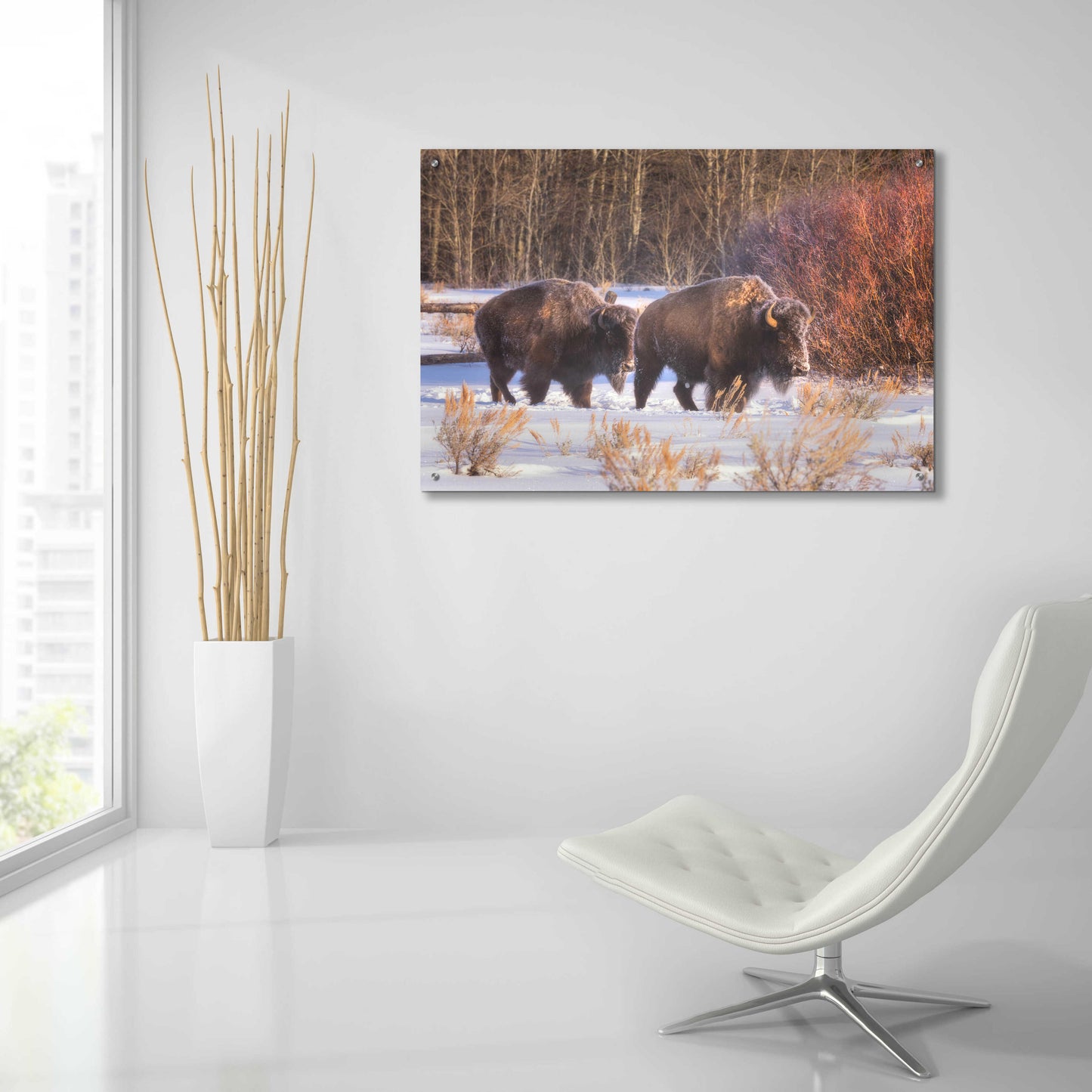 Epic Art 'Let's Go - Grand Teton National Park' by Darren White, Acrylic Glass Wall Art,36x24