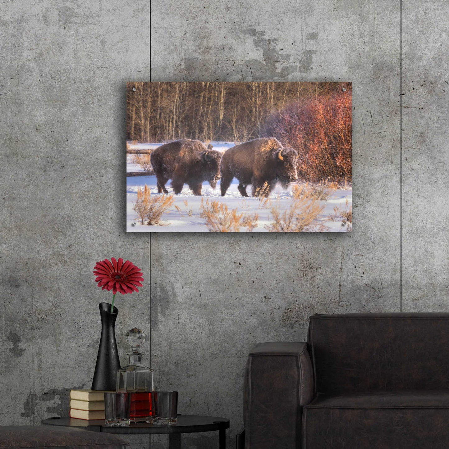 Epic Art 'Let's Go - Grand Teton National Park' by Darren White, Acrylic Glass Wall Art,36x24