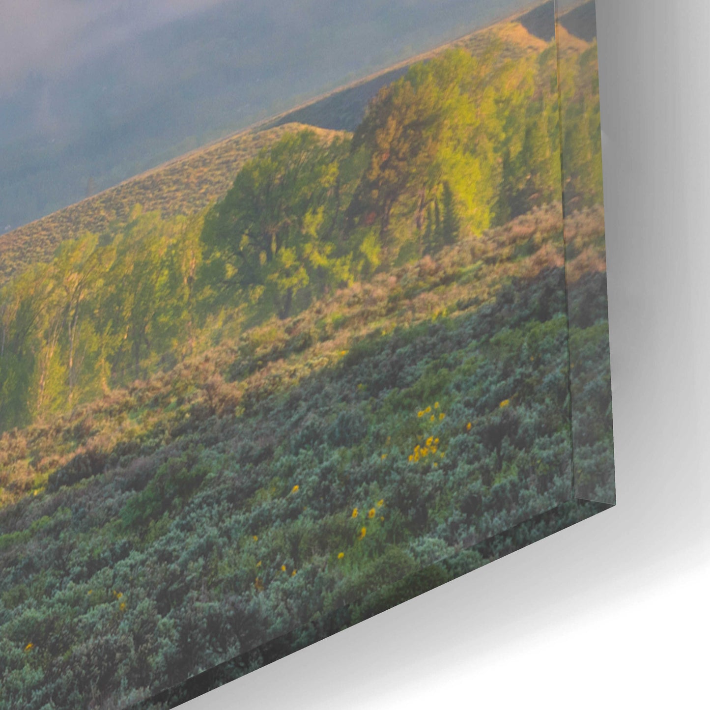 Epic Art 'Morning Fog In the Tetons - Grand Teton National Park' by Darren White, Acrylic Glass Wall Art,16x12